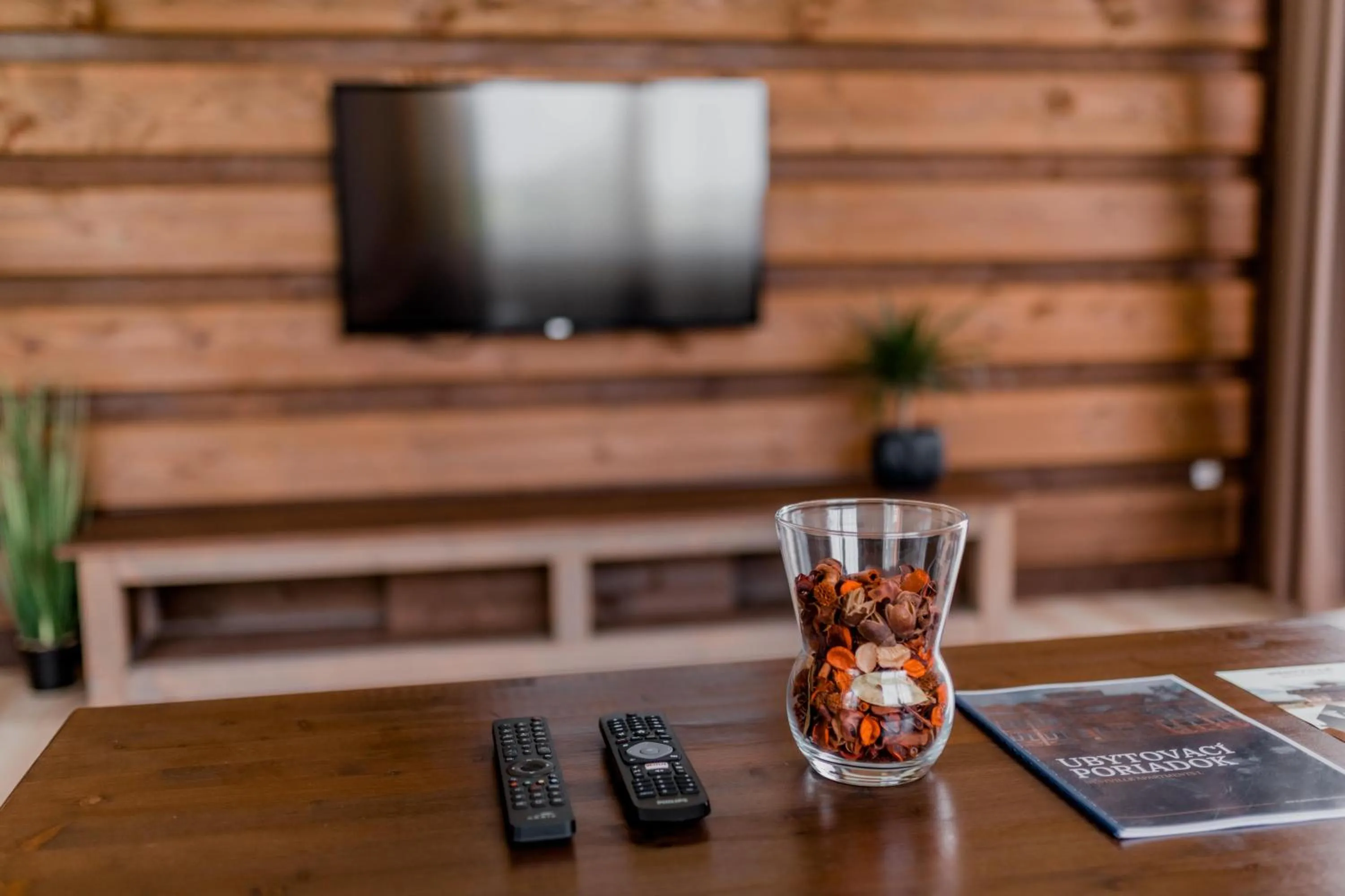 TV and multimedia in Nestville Apartments