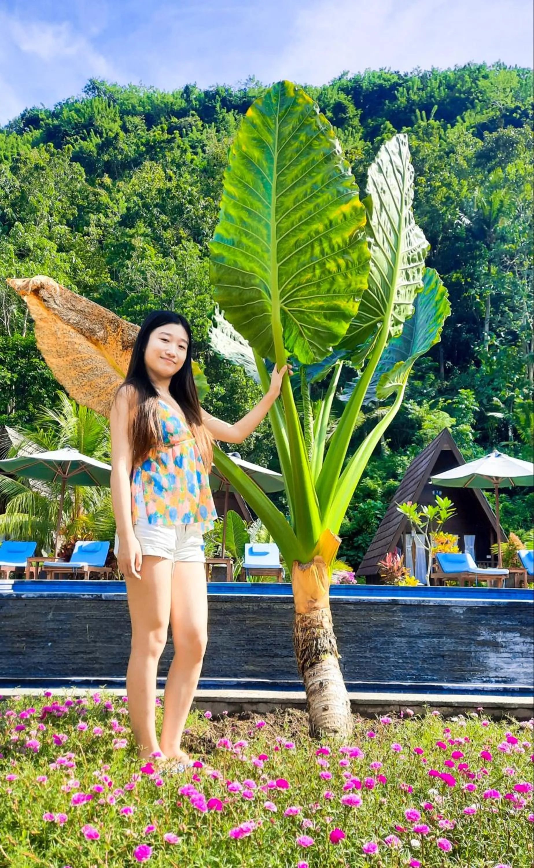 Garden view in Mahaloka Valley Nusa Penida