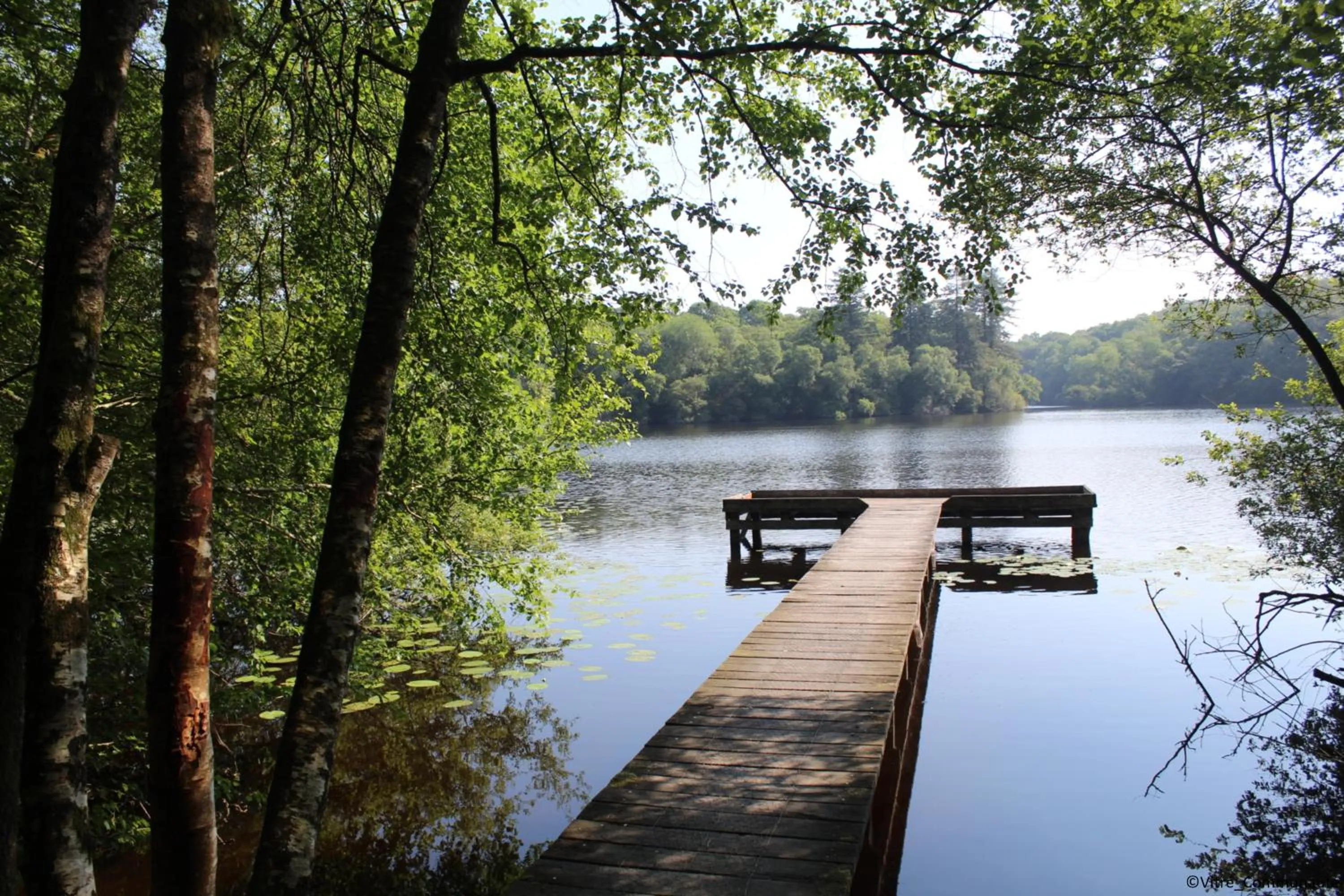Activities in Ibis Vitré Centre