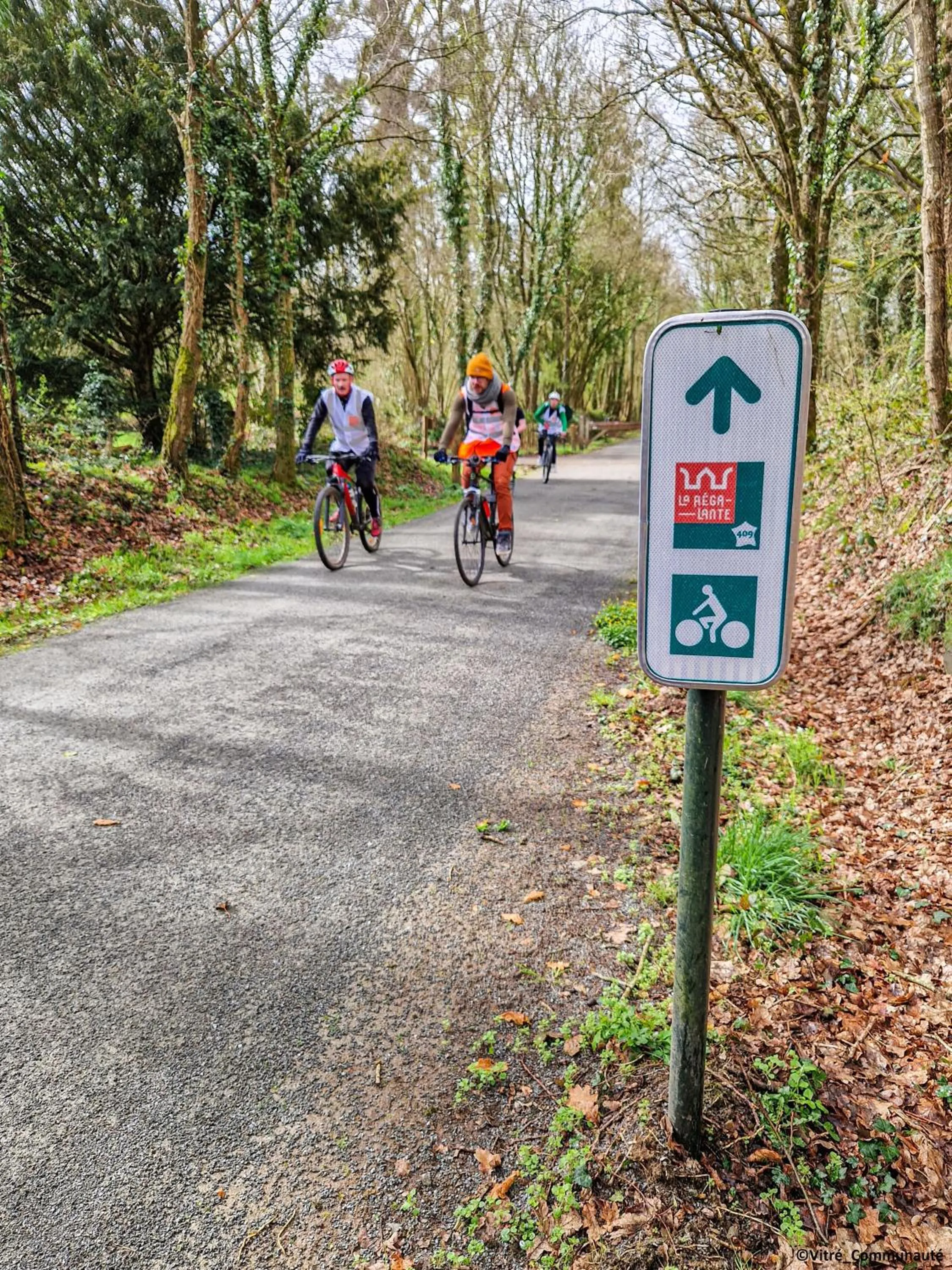 Activities in Ibis Vitré Centre