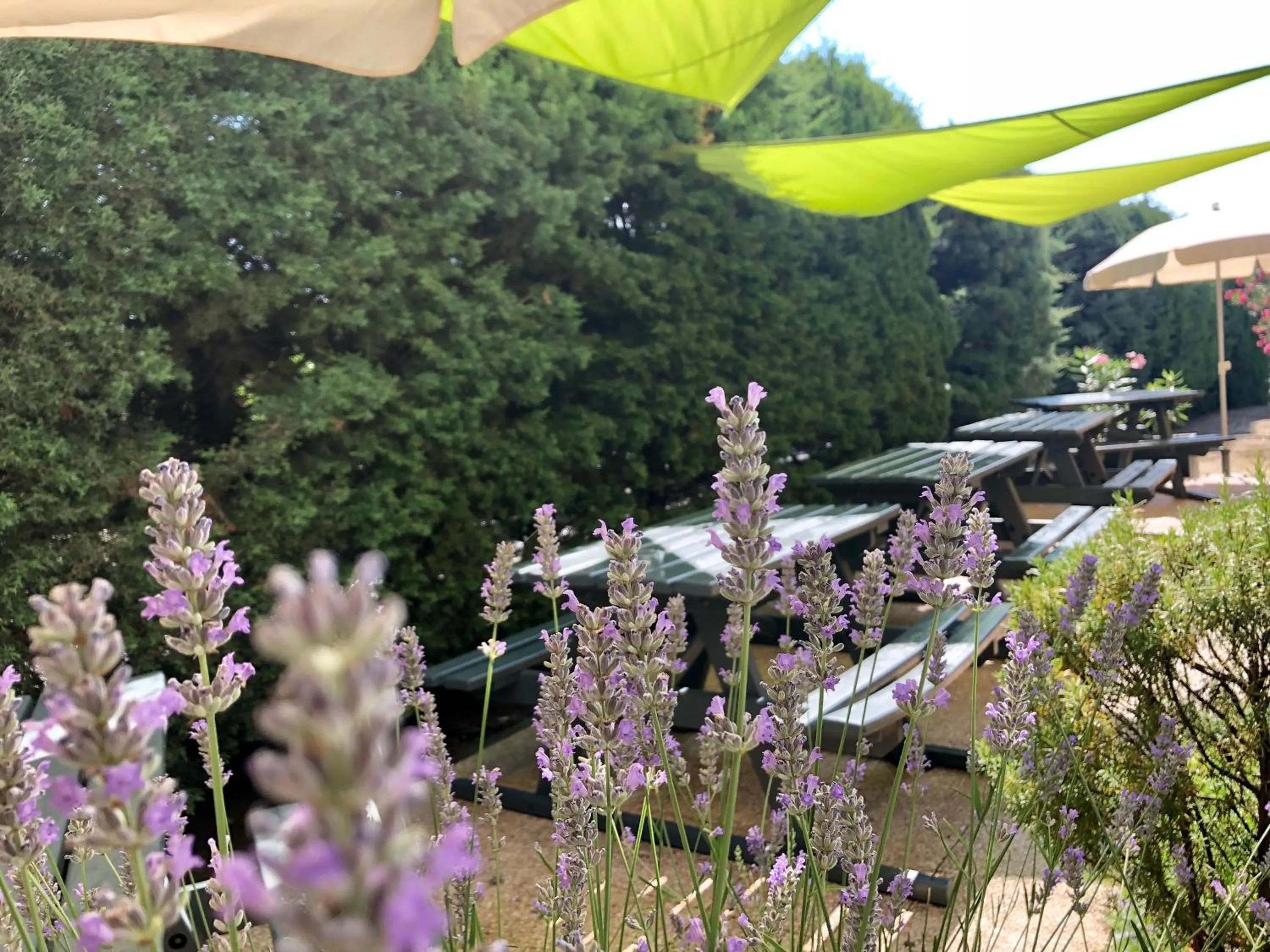 Garden view in Premiere Classe Perpignan Sud