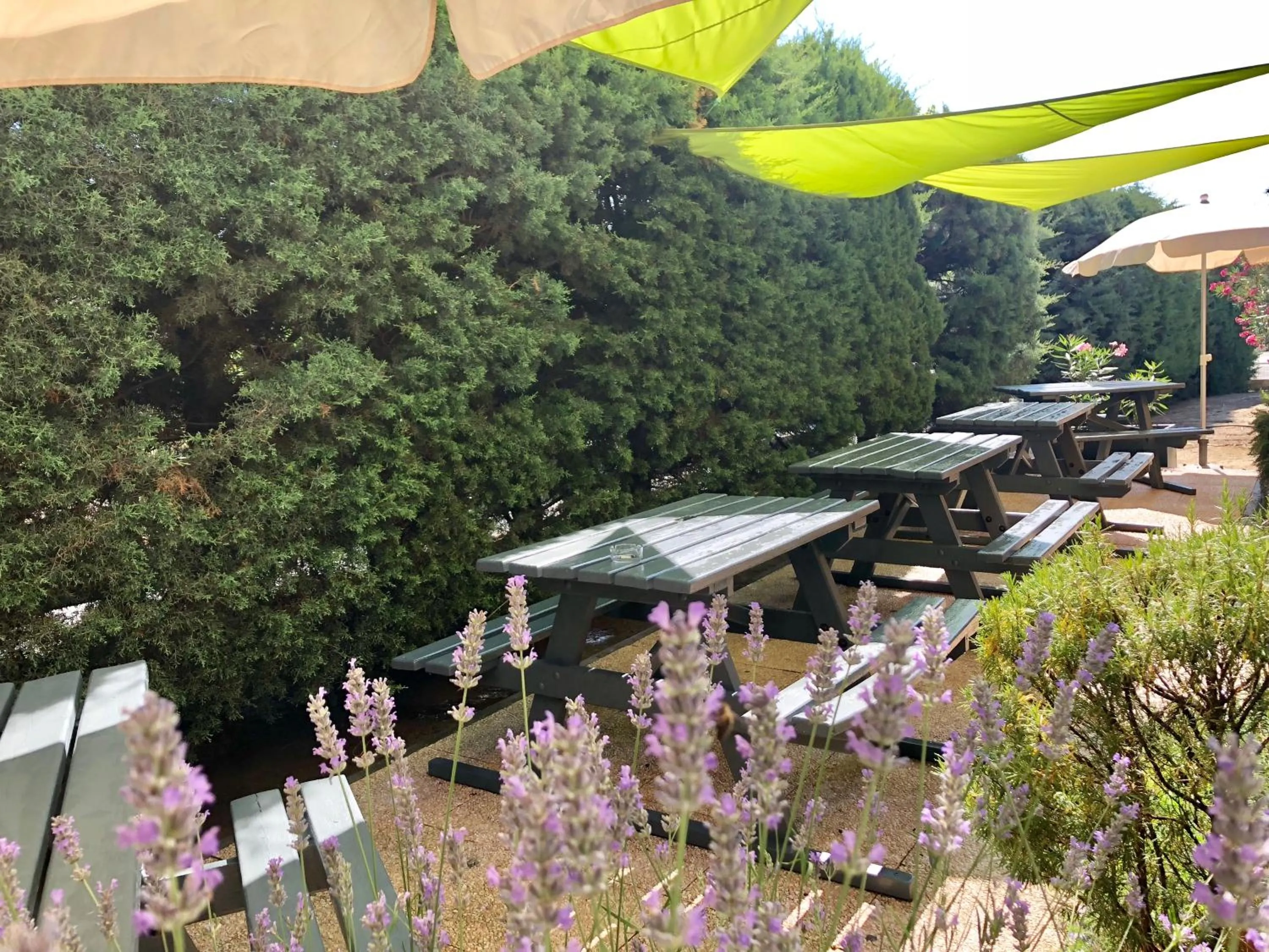 Garden view in Premiere Classe Perpignan Sud