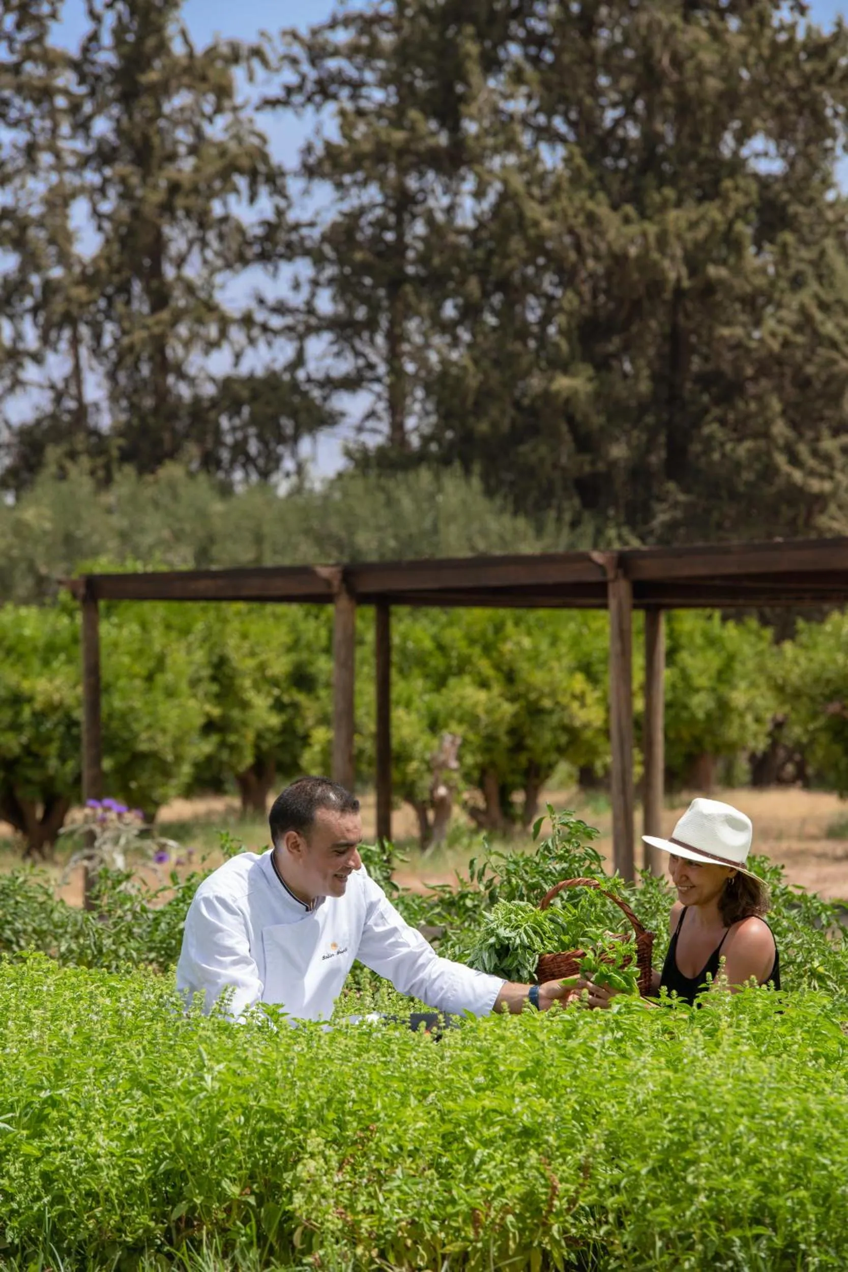 Activities in The Oberoi Marrakech