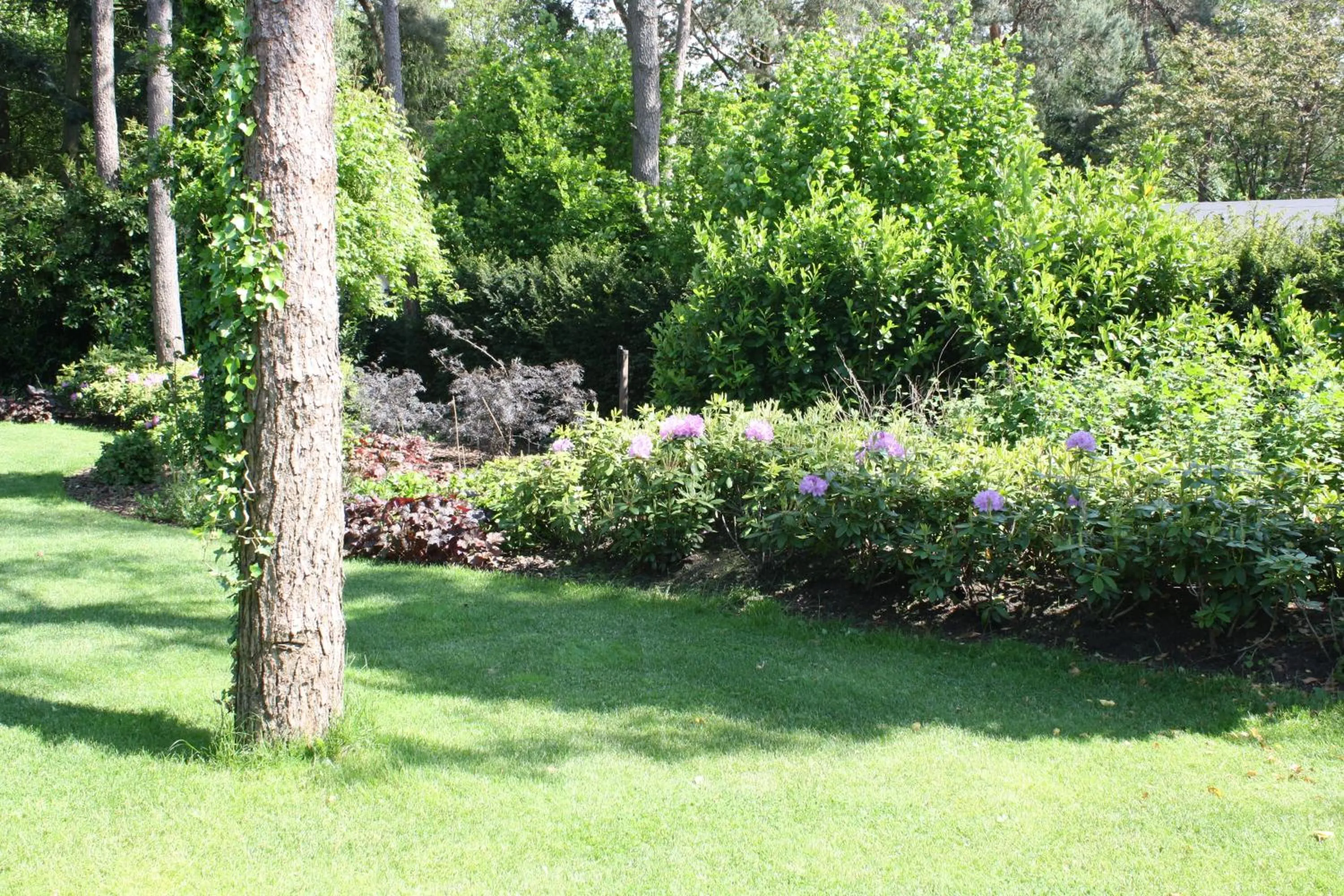 Bed & Breakfast Op 't Leven