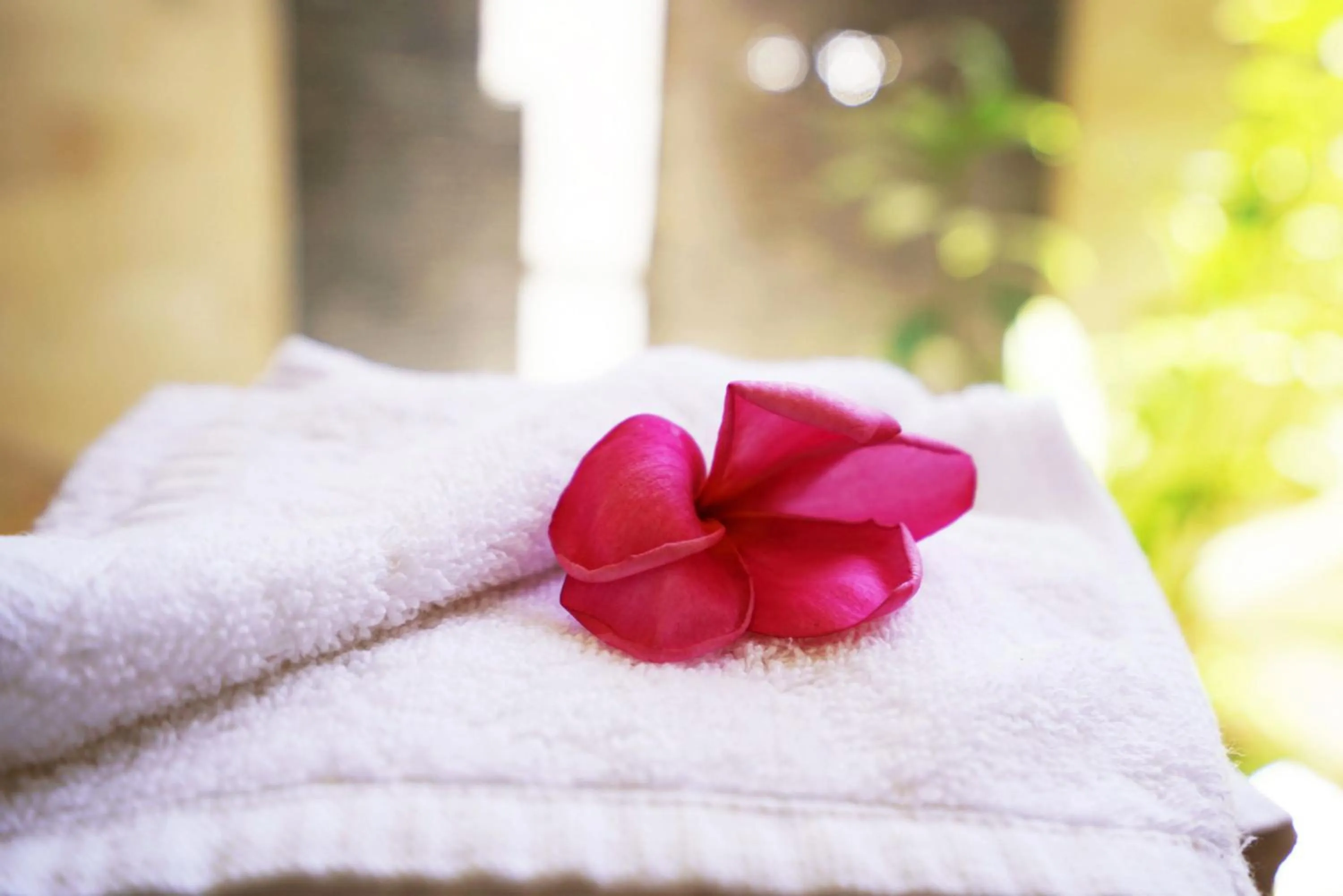 Day in Wah Resort Gili Trawangan