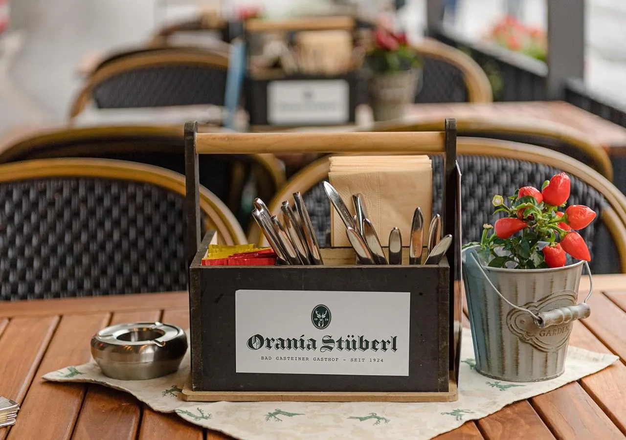 Food and drinks in Hotel Goethehof