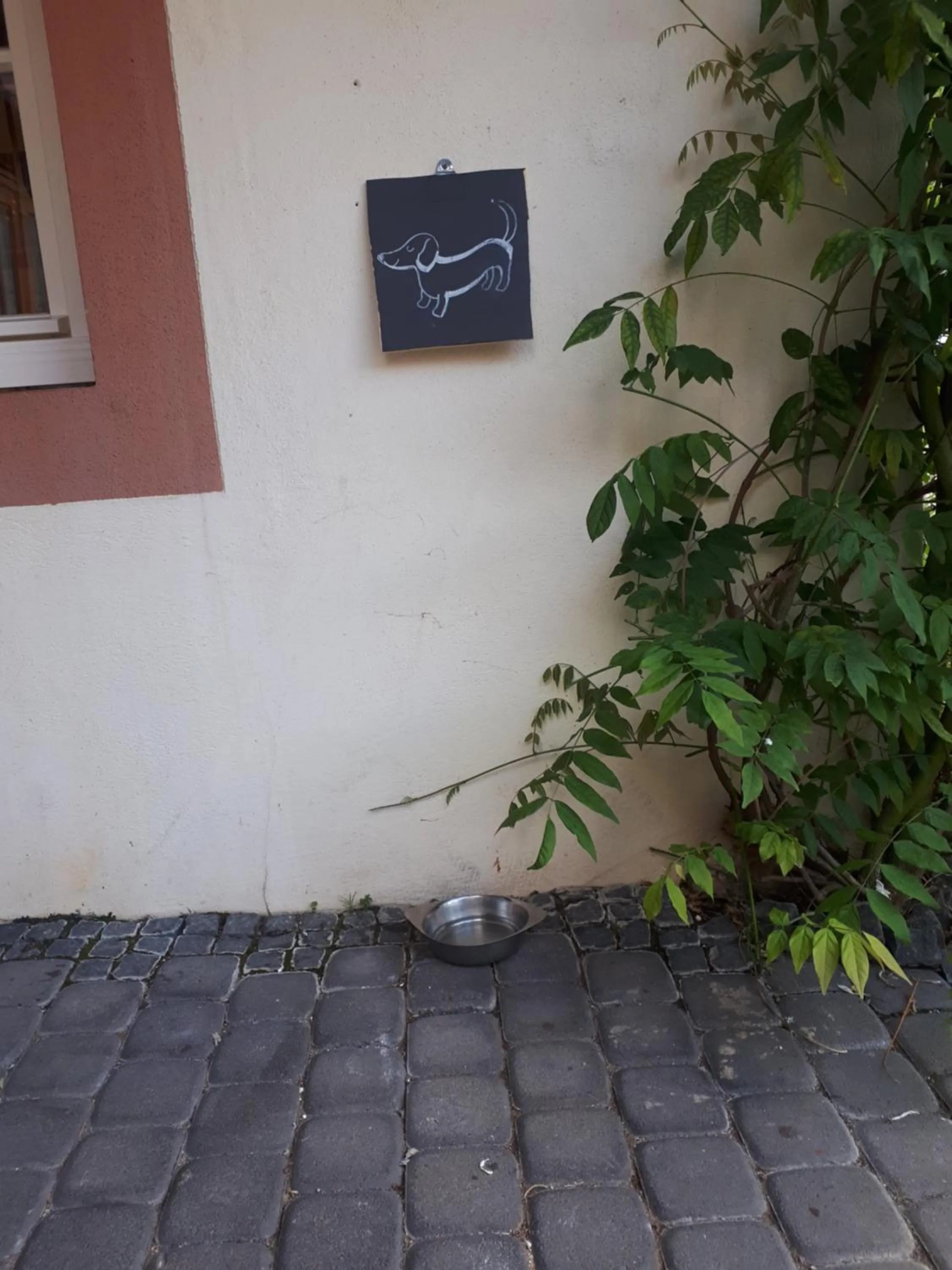 Pets in Landhaus Gräfendhron