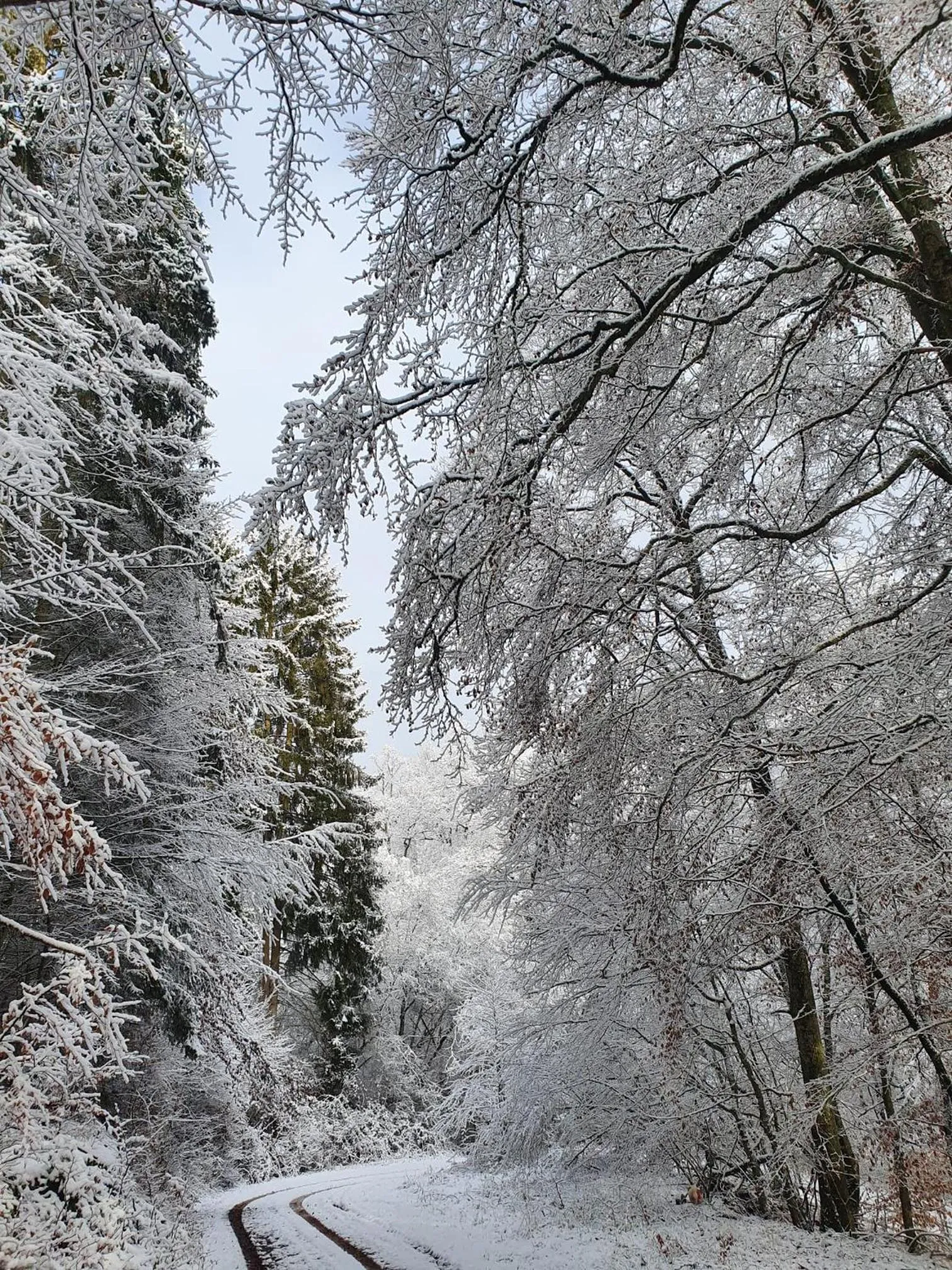 Winter in Landhaus Gräfendhron