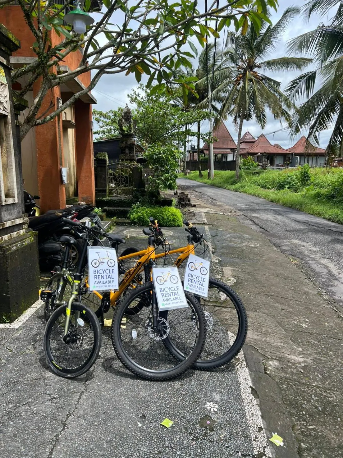 Cycling in Dukuh Village Villas & Art