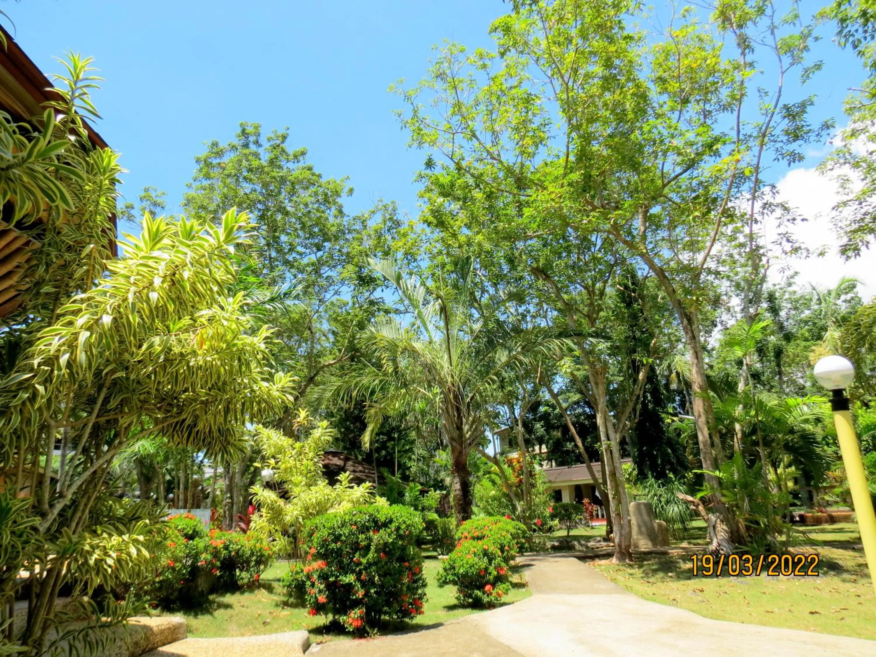 Natural landscape in ALONALAND RESORT