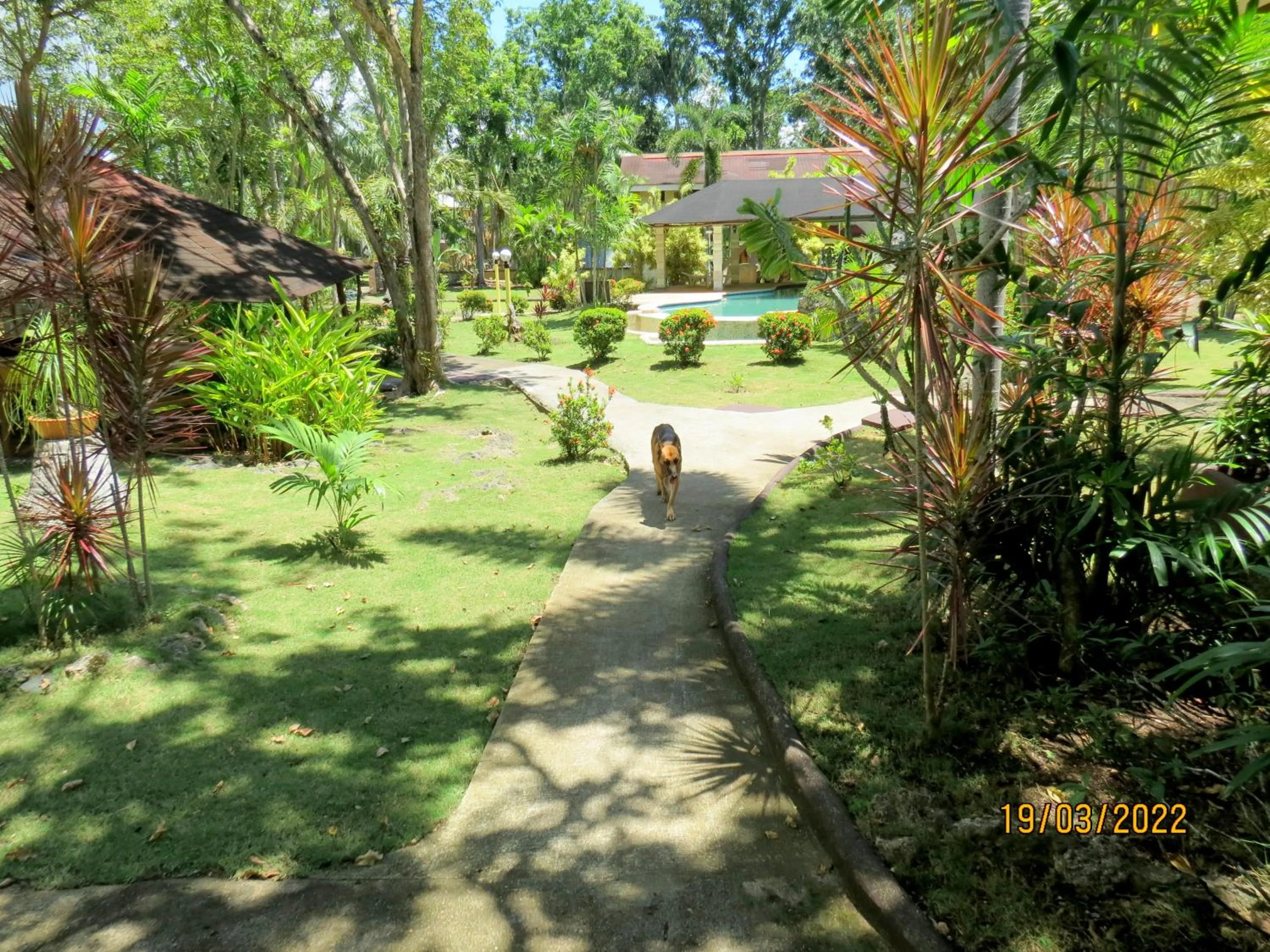 Garden in ALONALAND RESORT