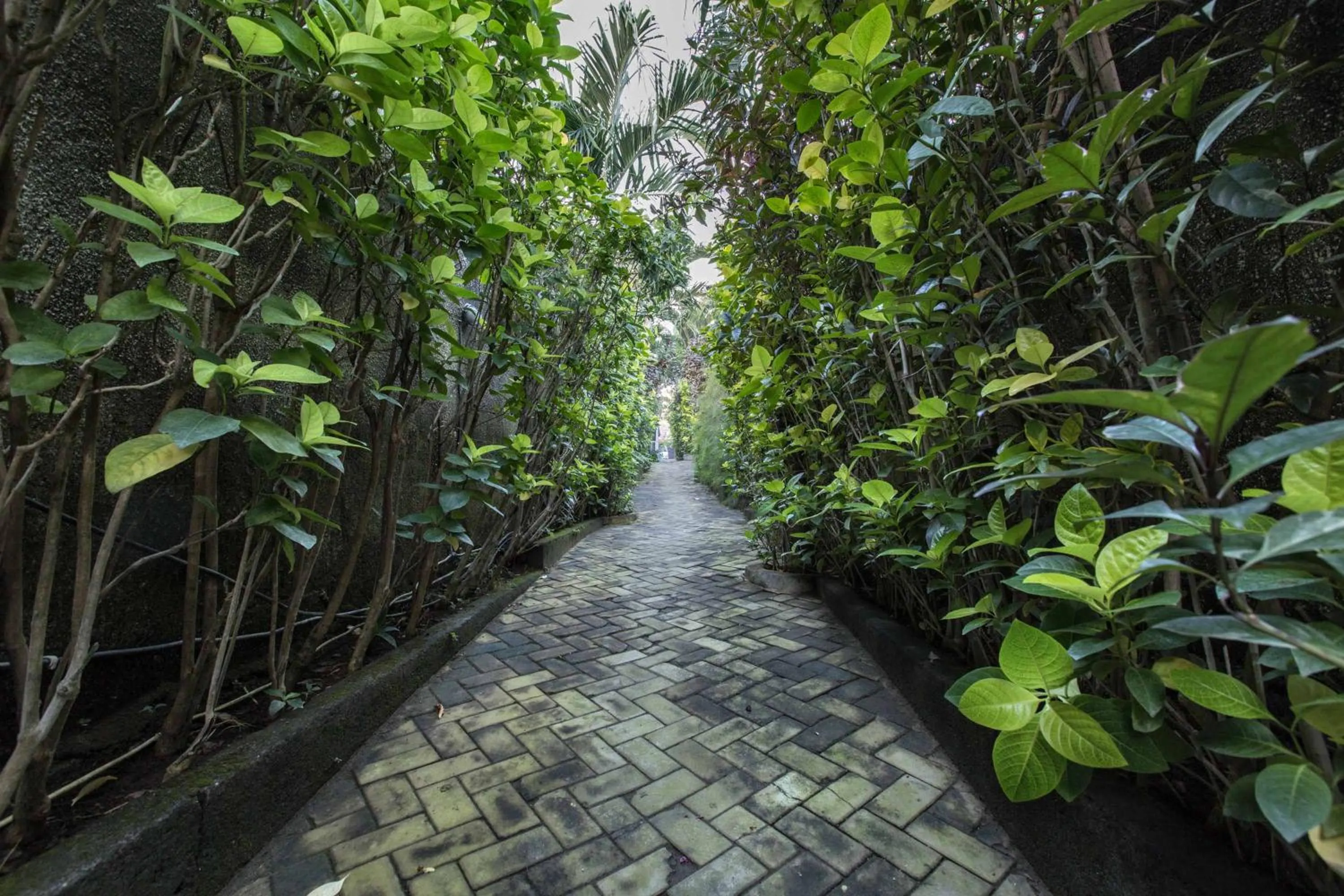 Facade/entrance in Villa Bali Zen Kerobokan