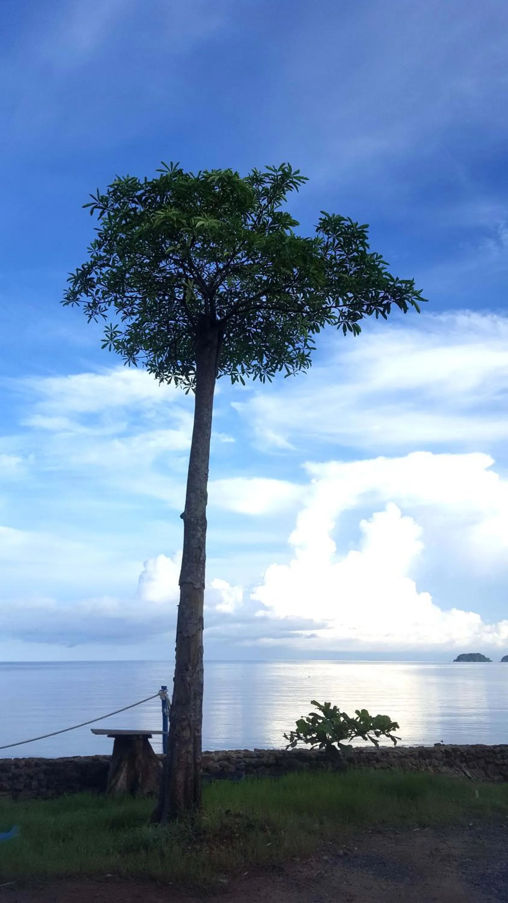 Sea view in Kohchang 7 seaview bungalow