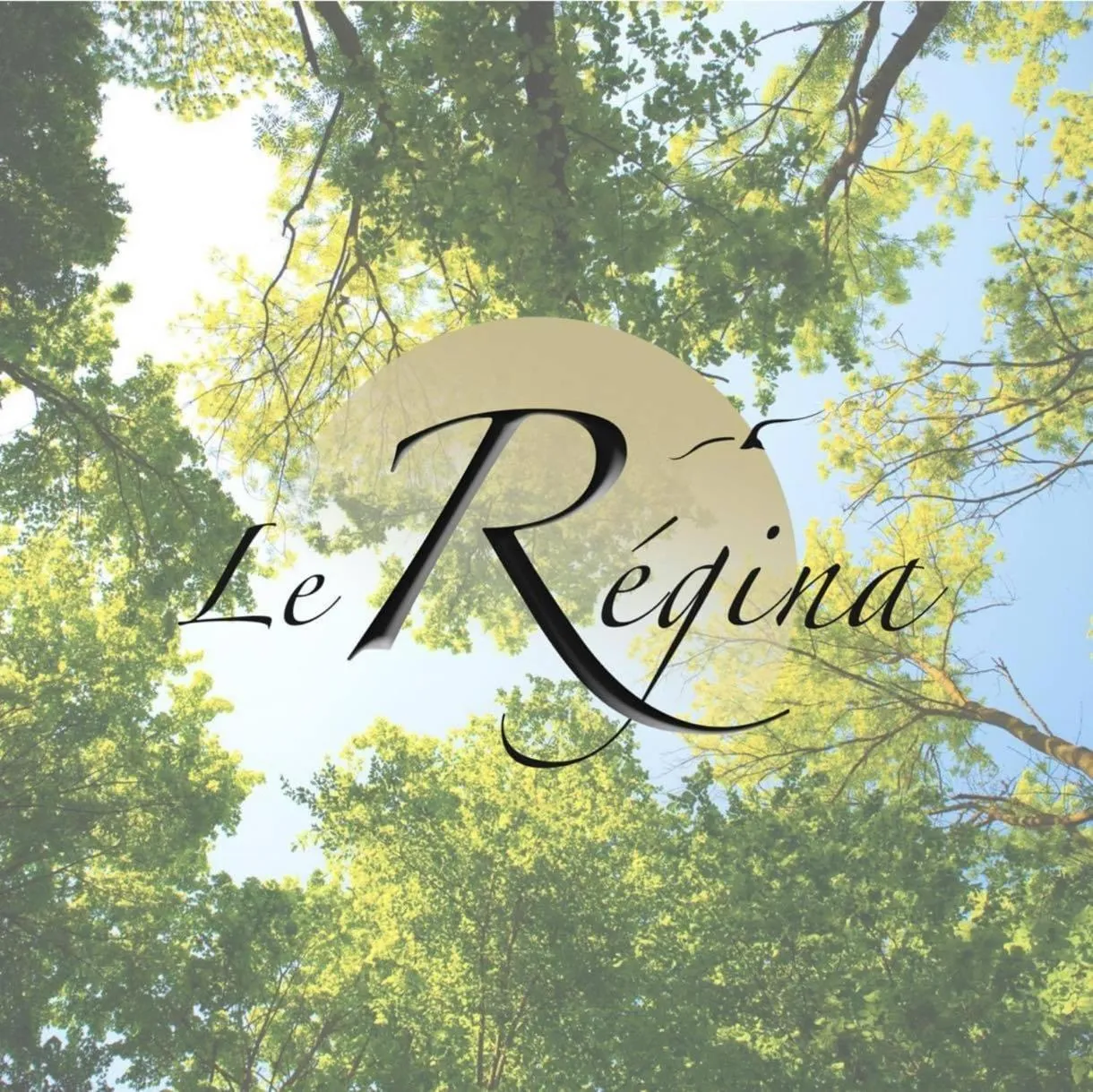 Property building in Le Regina Hôtel restaurant