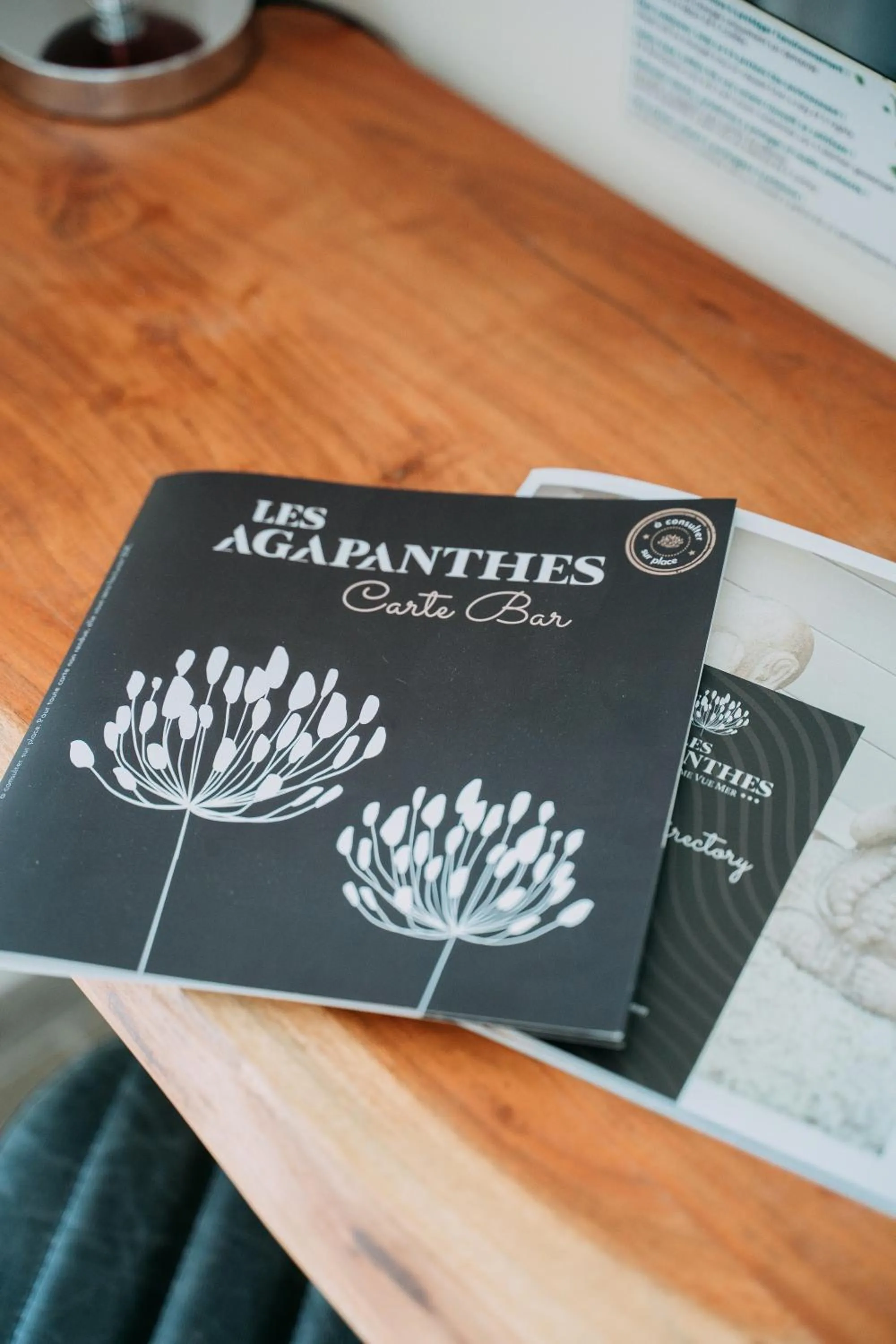 Hôtel Les Agapanthes-Logis Hôtel