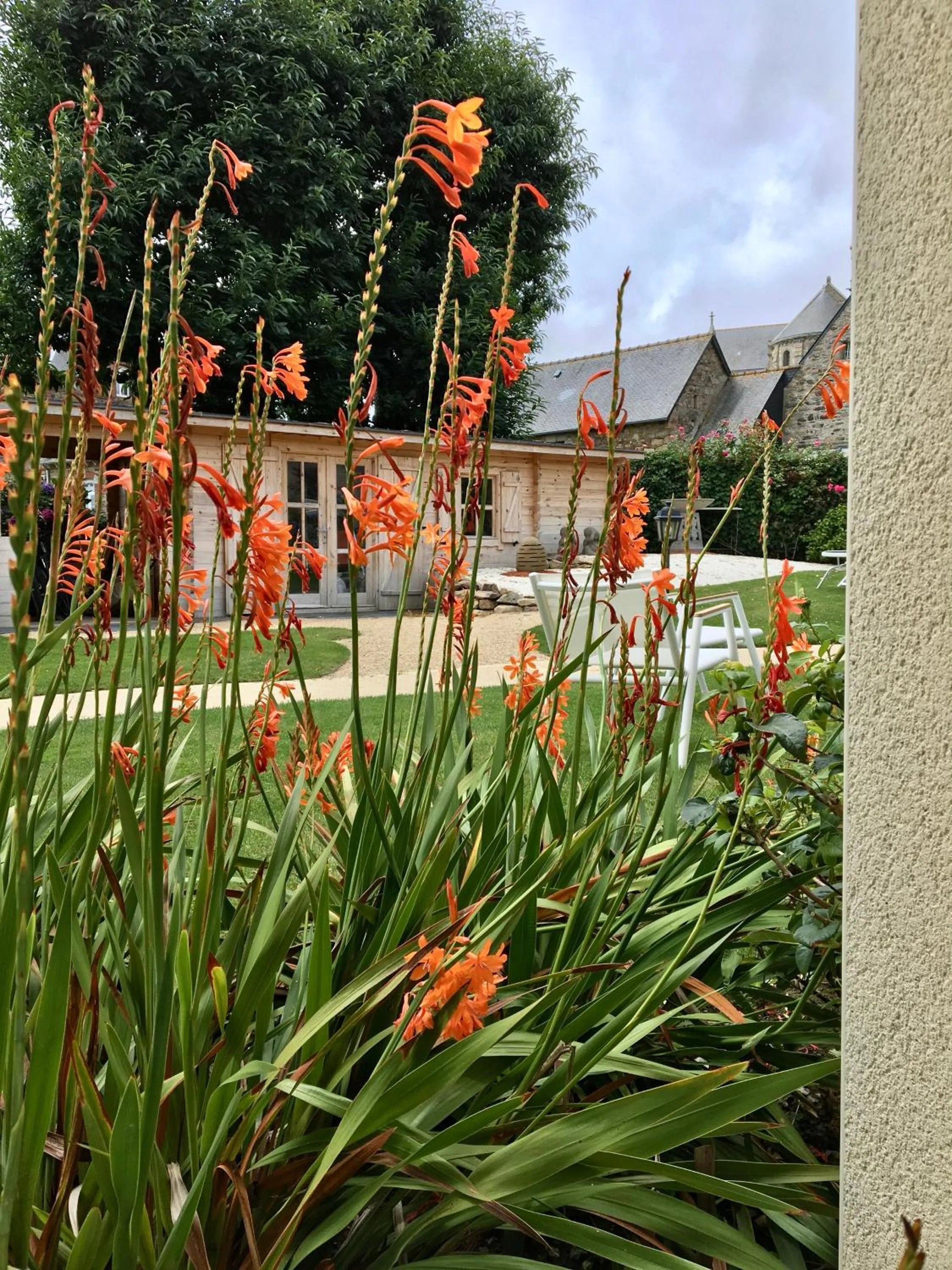 Garden view in Hôtel Les Agapanthes-Logis Hôtel