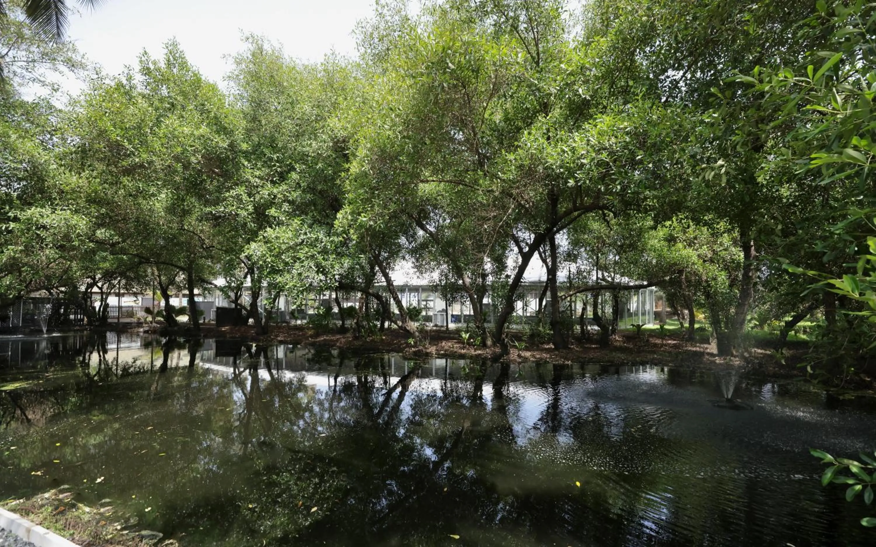 Nearby landmark in Labadi Beach Hotel