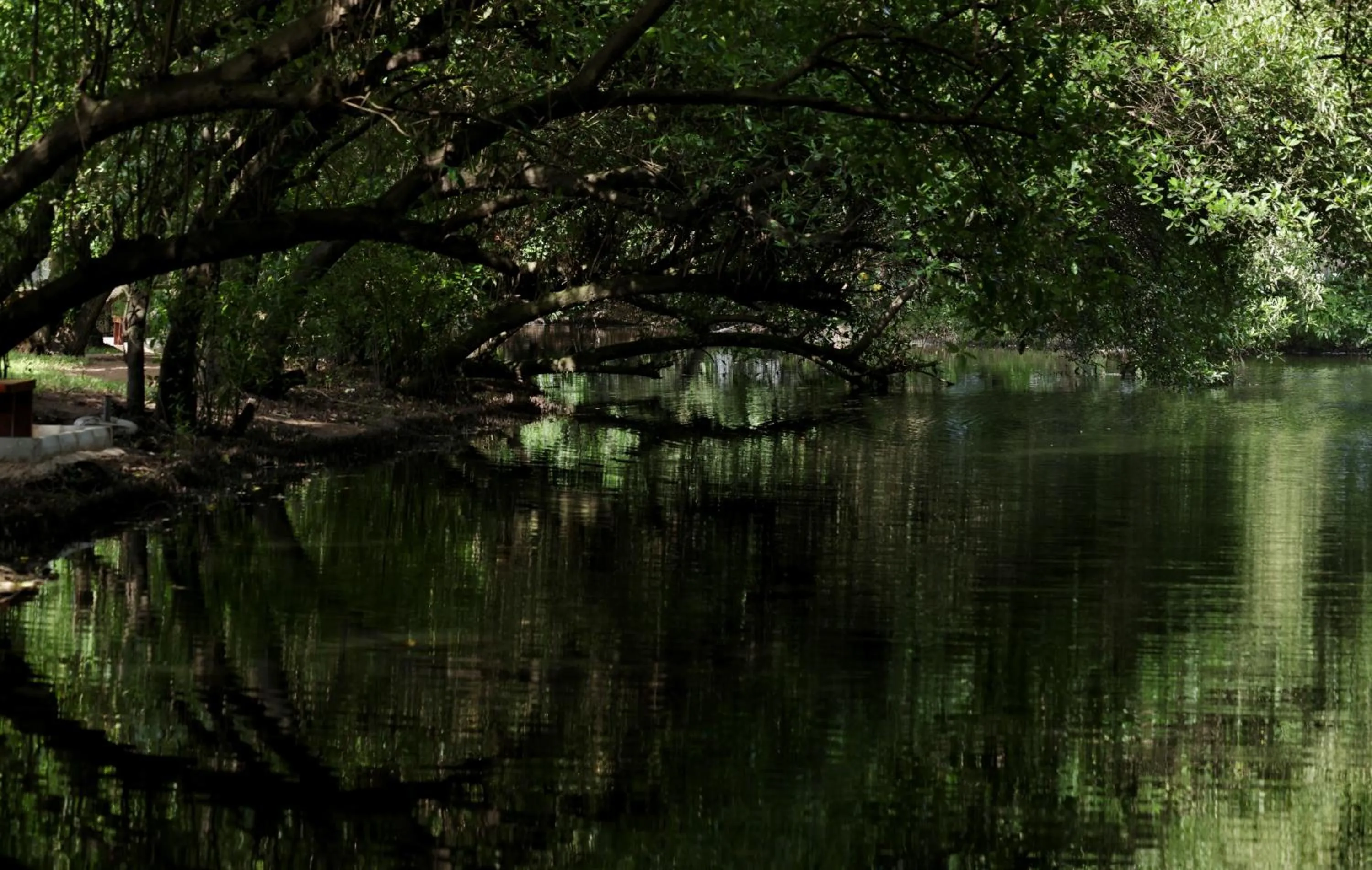 Spring in Labadi Beach Hotel