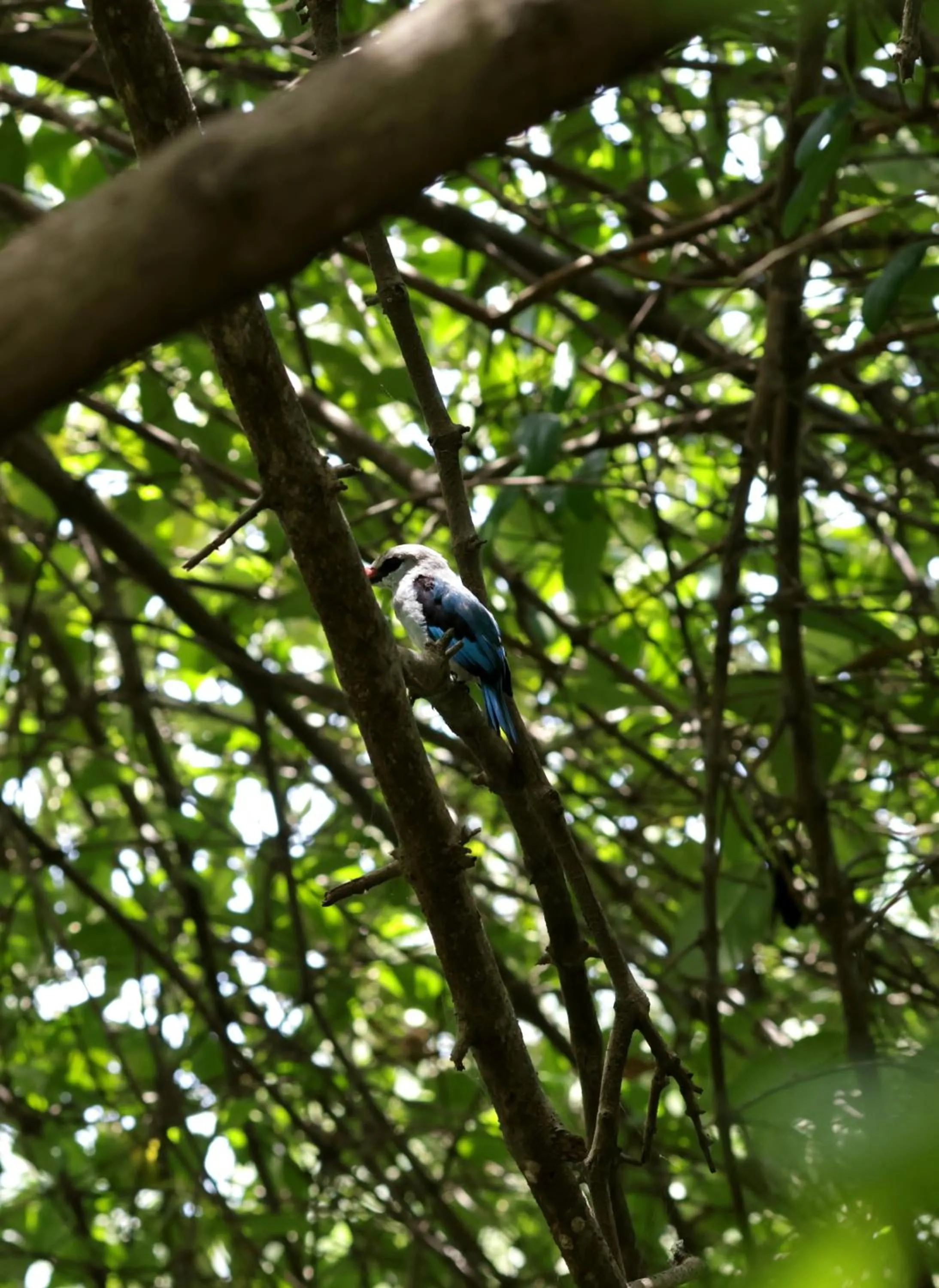Natural landscape in Labadi Beach Hotel