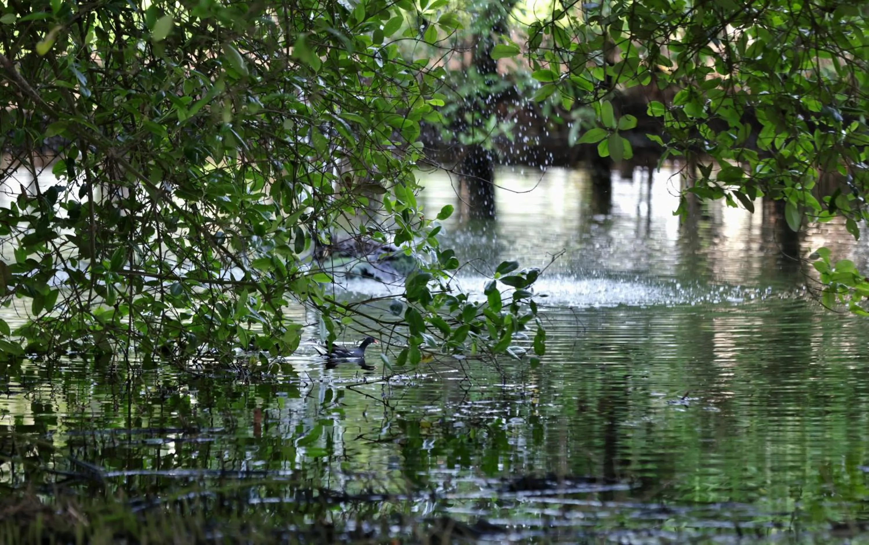 Nearby landmark in Labadi Beach Hotel