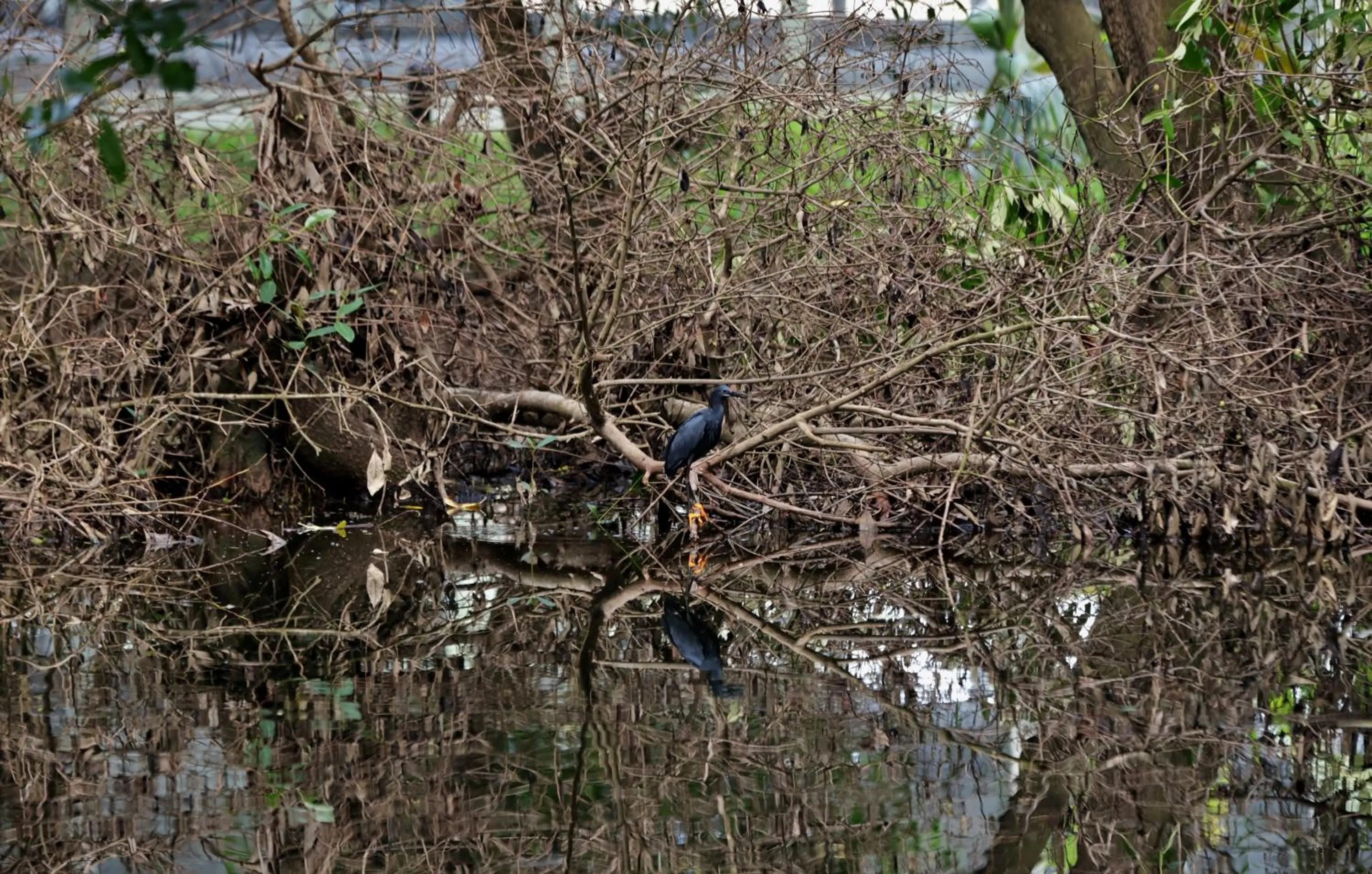 Day in Labadi Beach Hotel