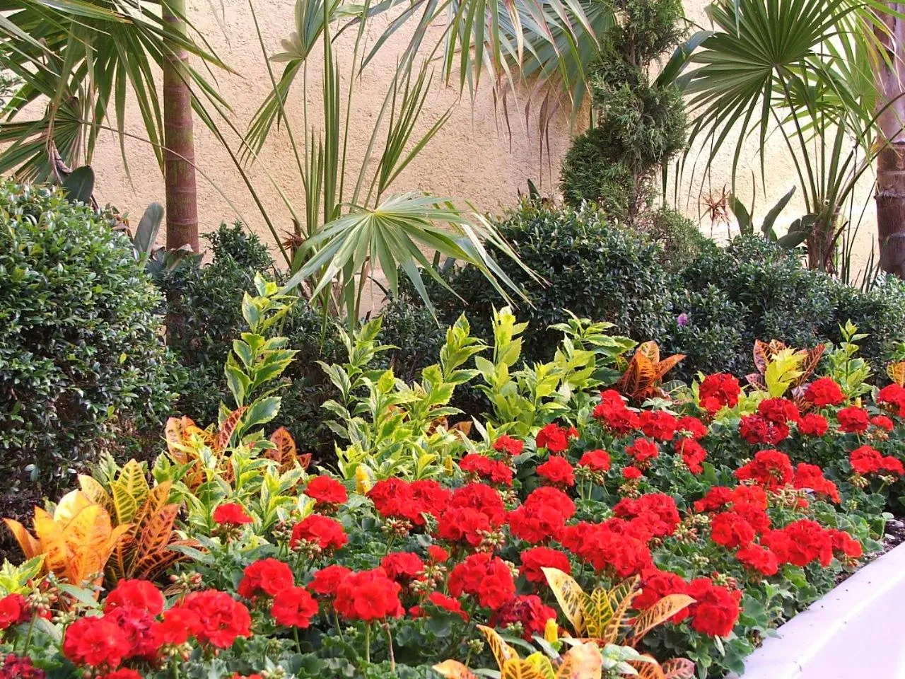 Garden view in Hotel Casa Real Tehuacan
