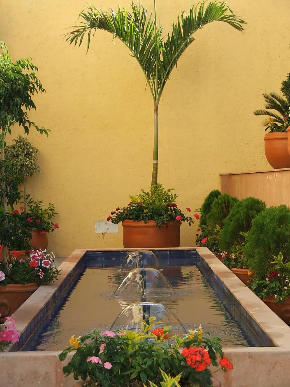 Garden in Hotel Casa Real Tehuacan