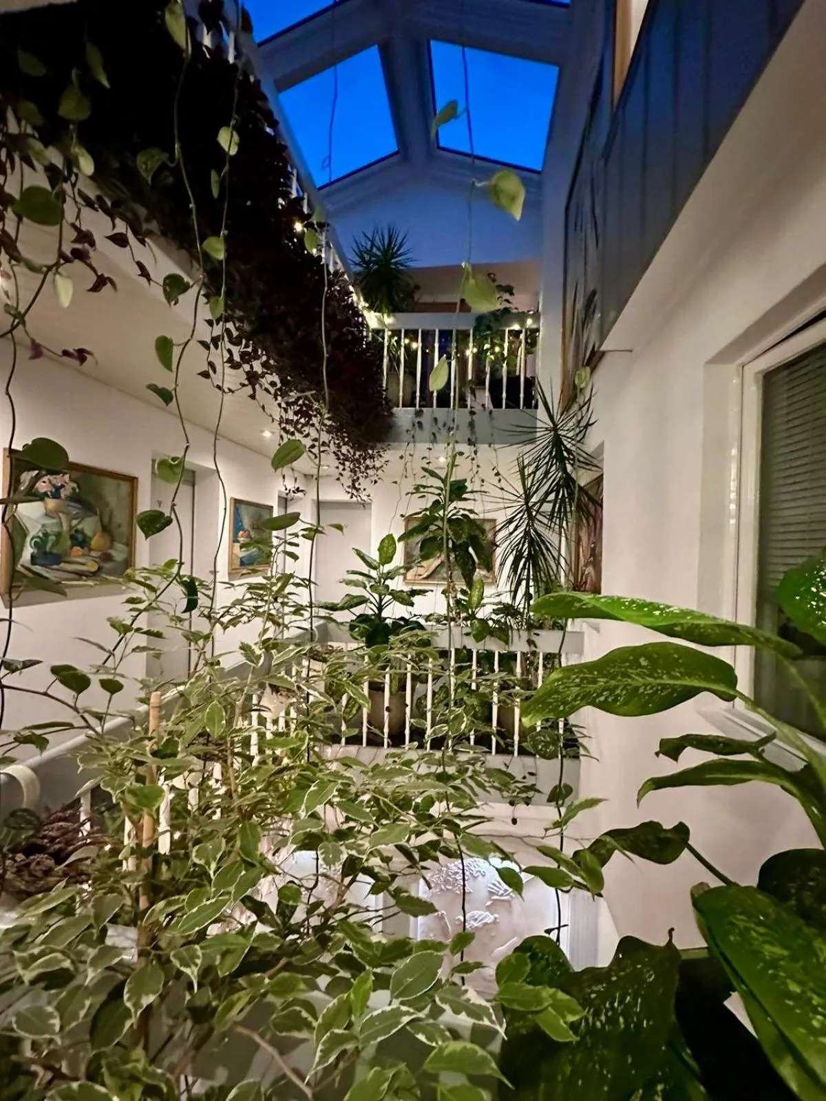 Property building in Villa Helvetia