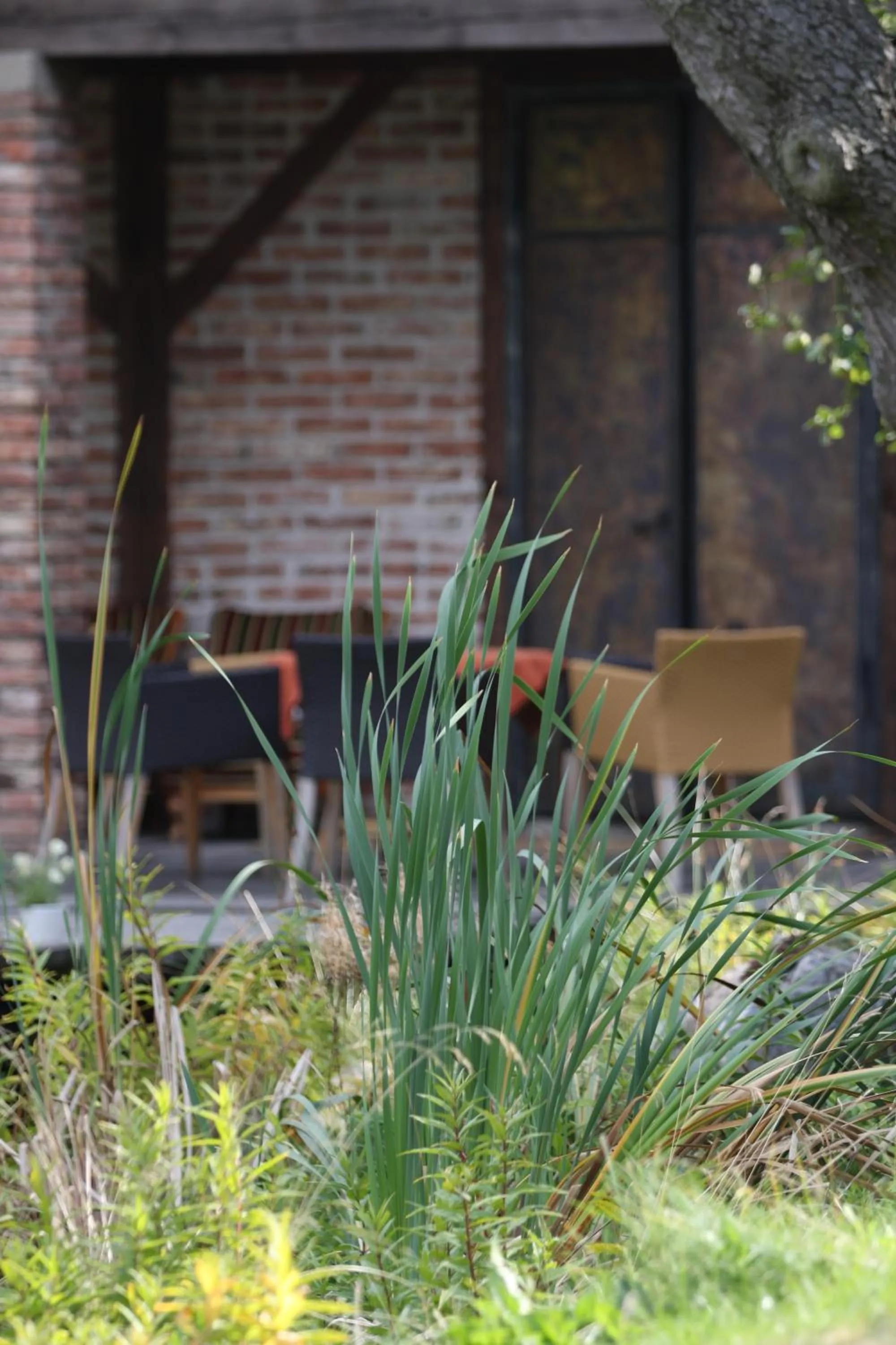 Seating area in Areal Botanika