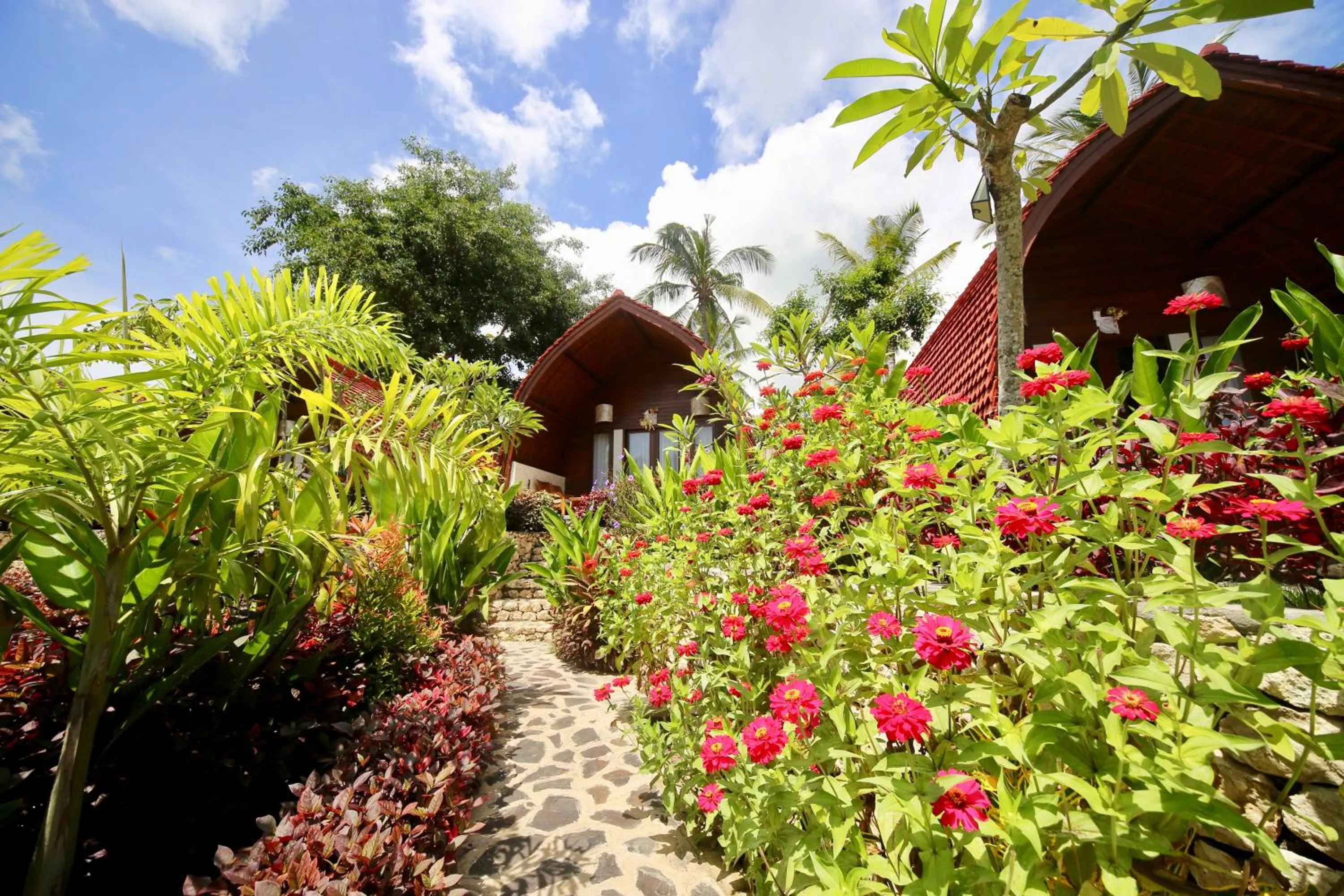 Facade/entrance in Jungle Paradise