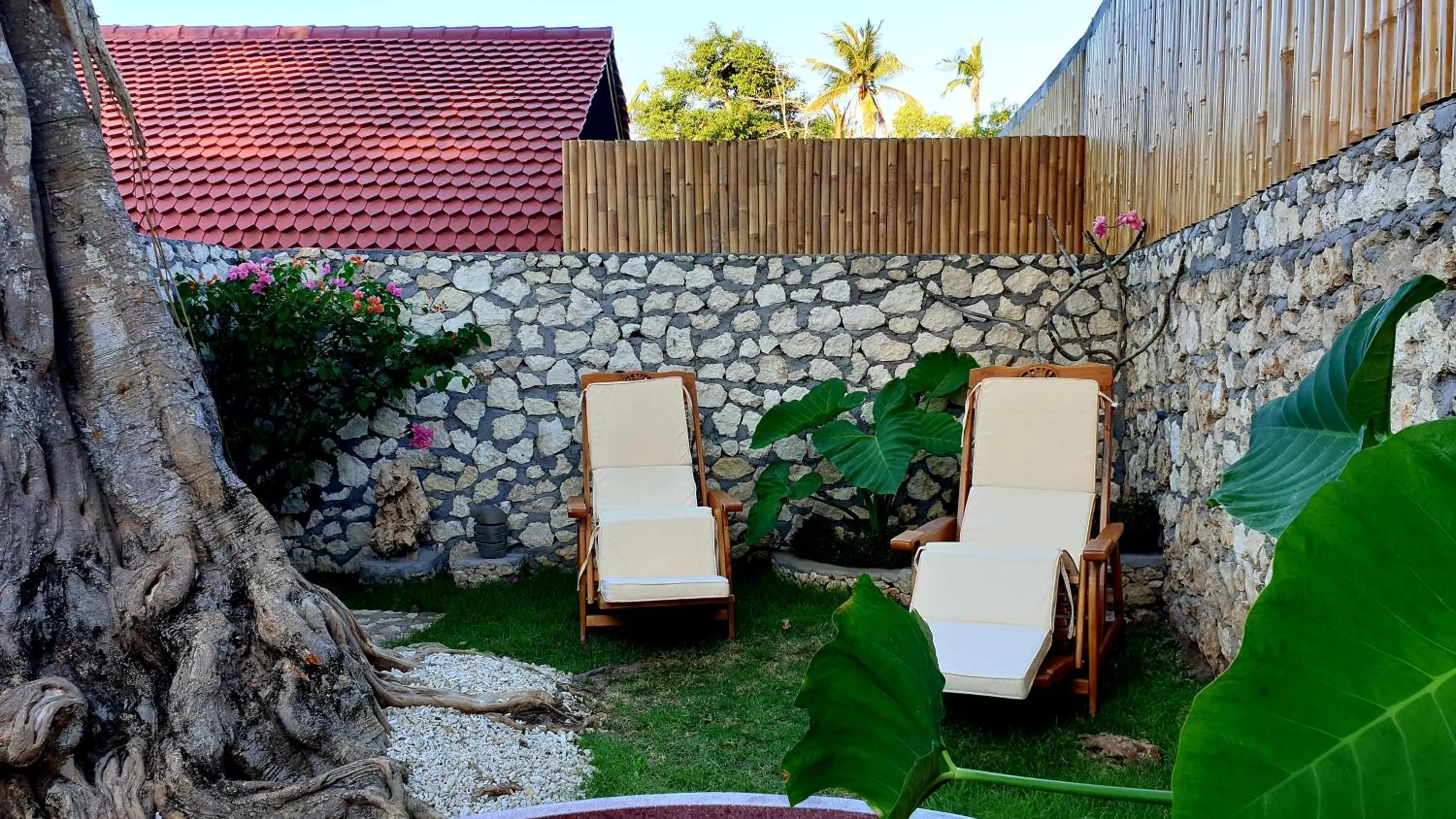 Garden in Jungle Paradise