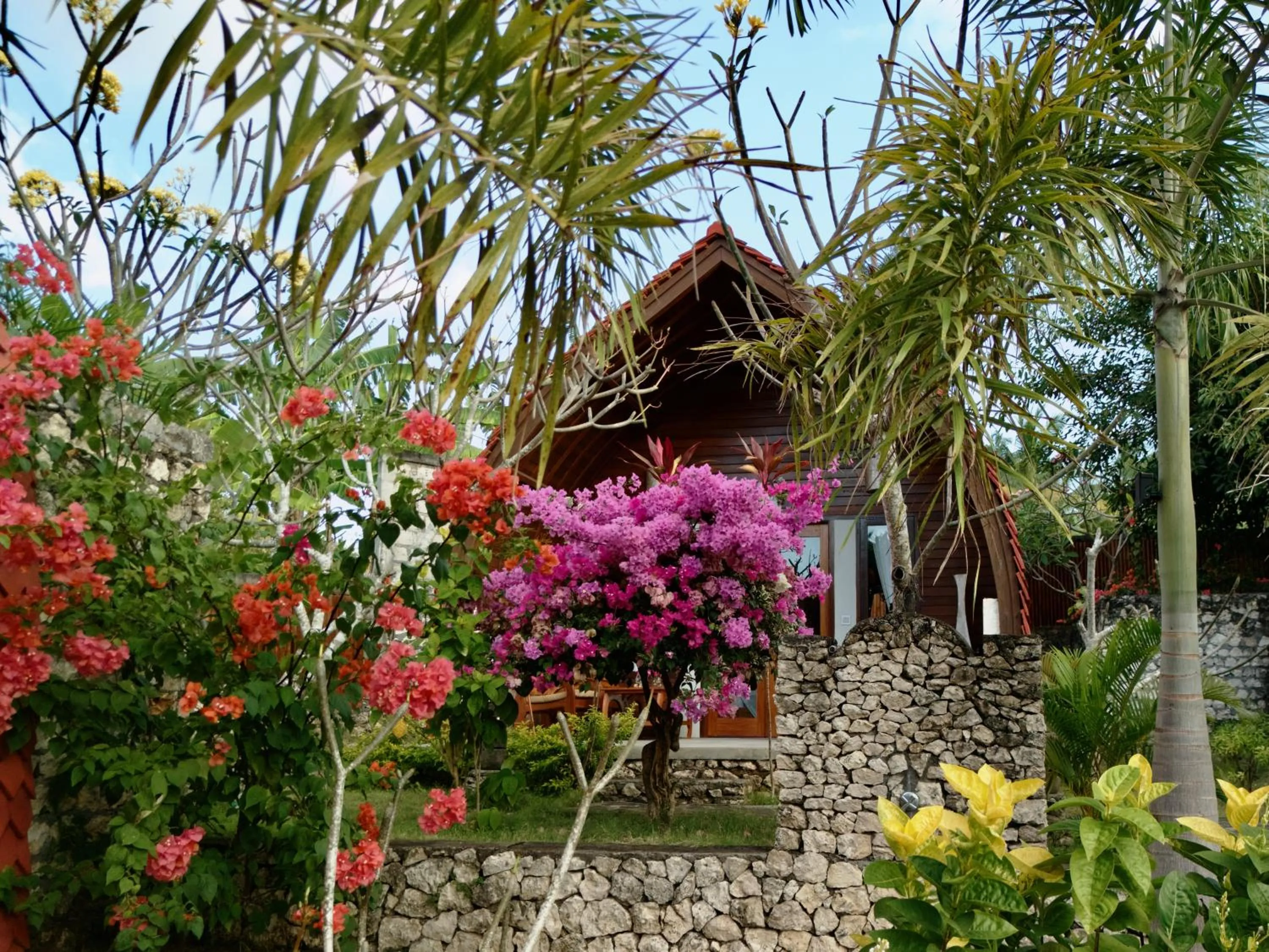 Property building in Jungle Paradise