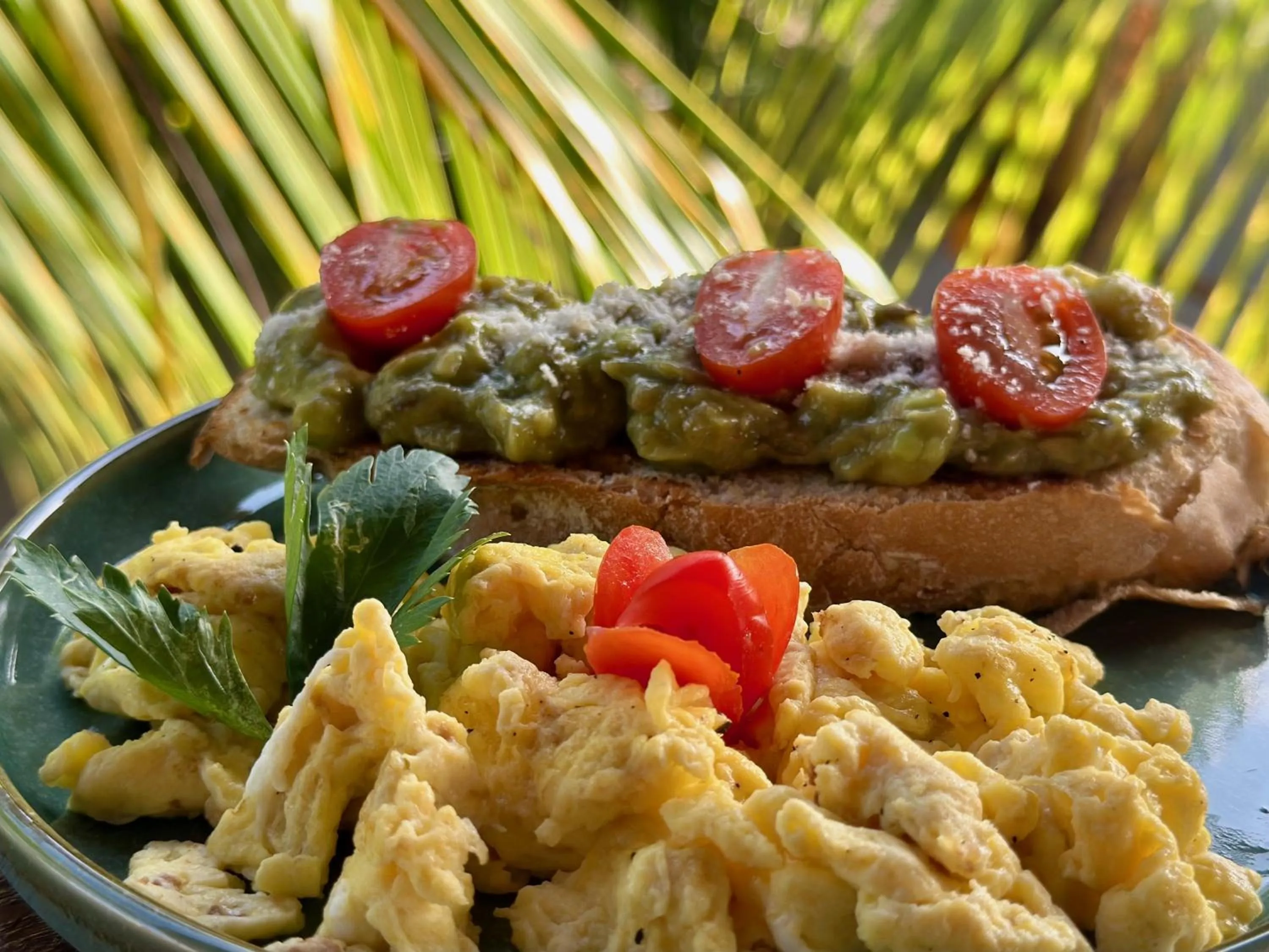 Food close-up in Jungle Paradise
