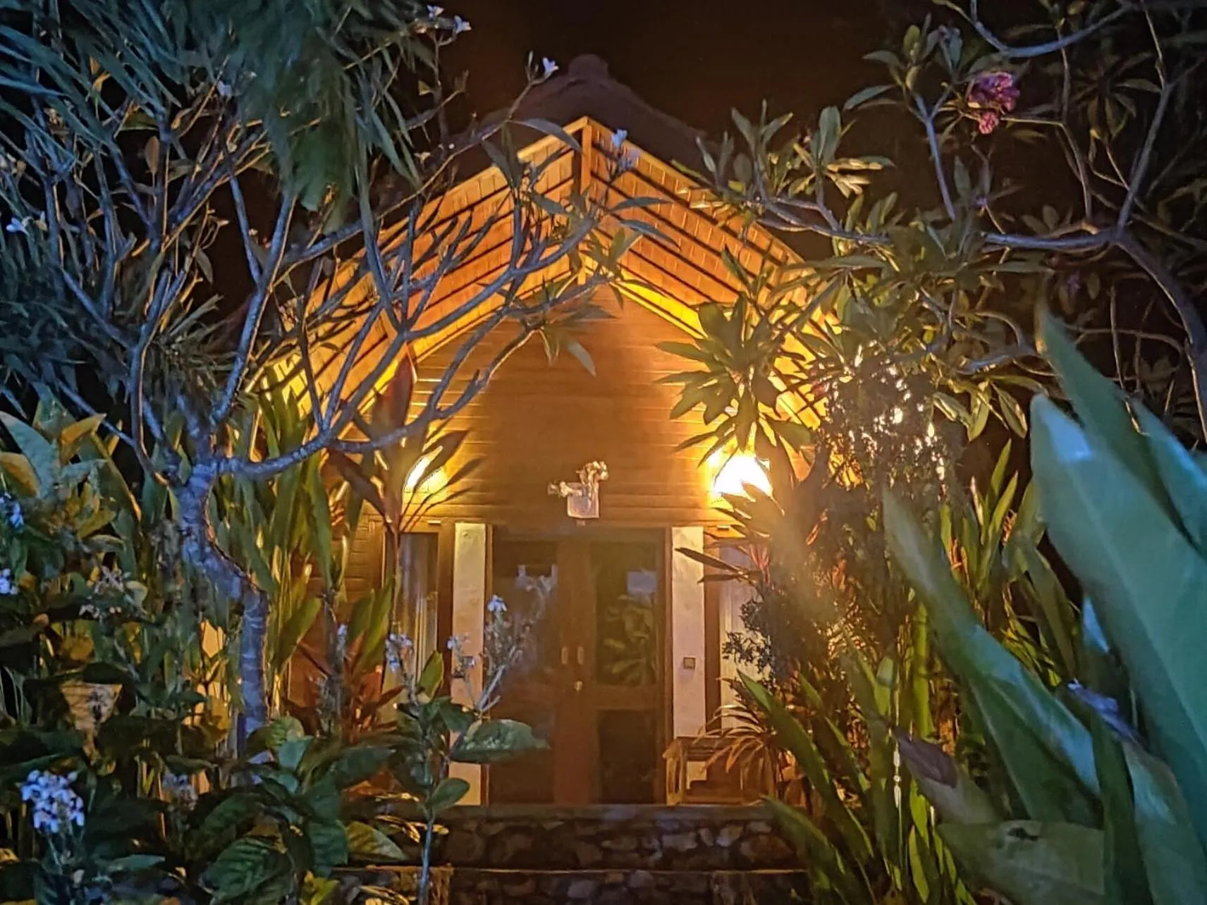 Property building in Jungle Paradise