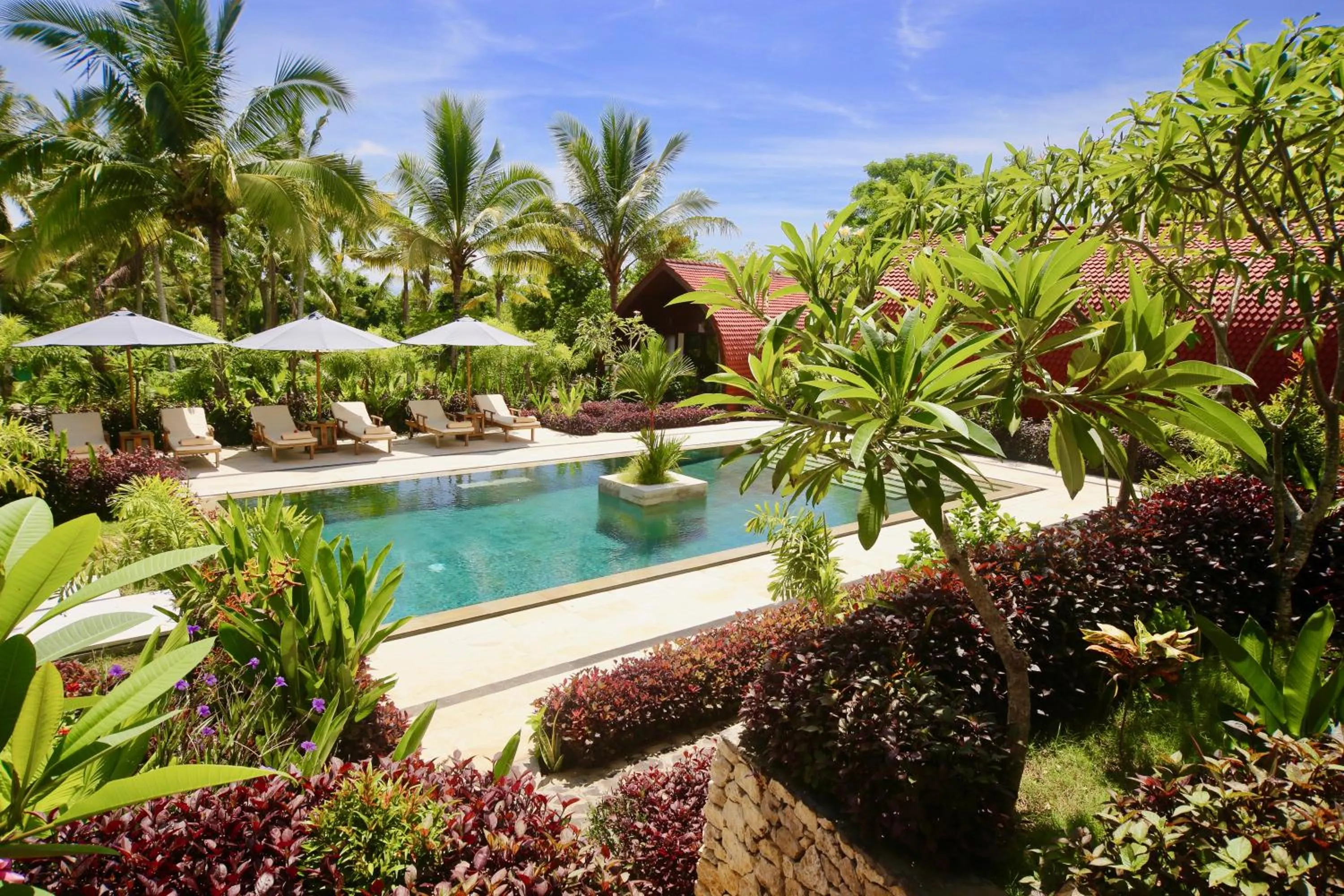 Pool view in Jungle Paradise