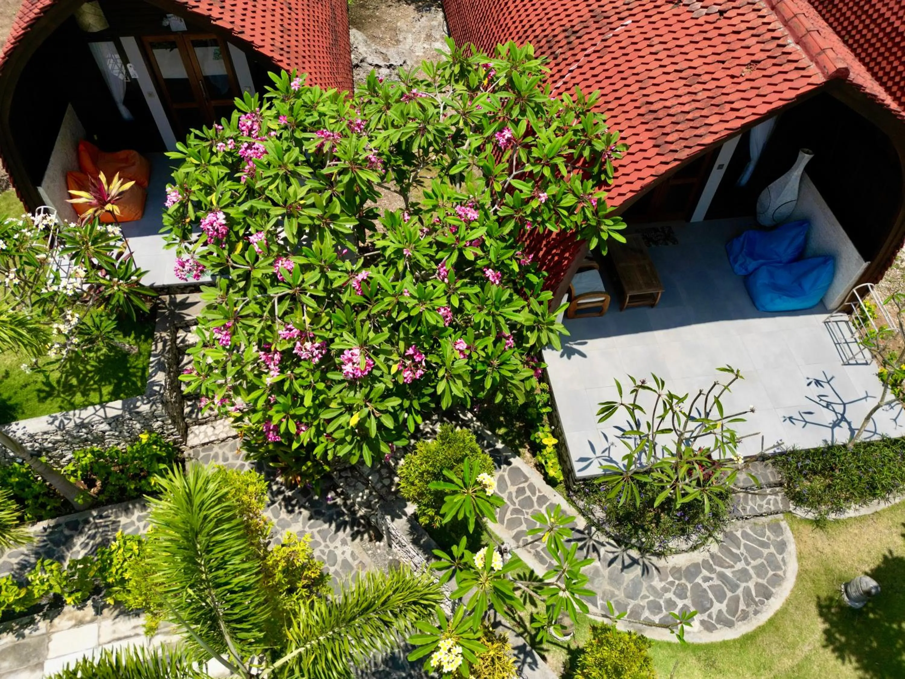 Bird's eye view in Jungle Paradise