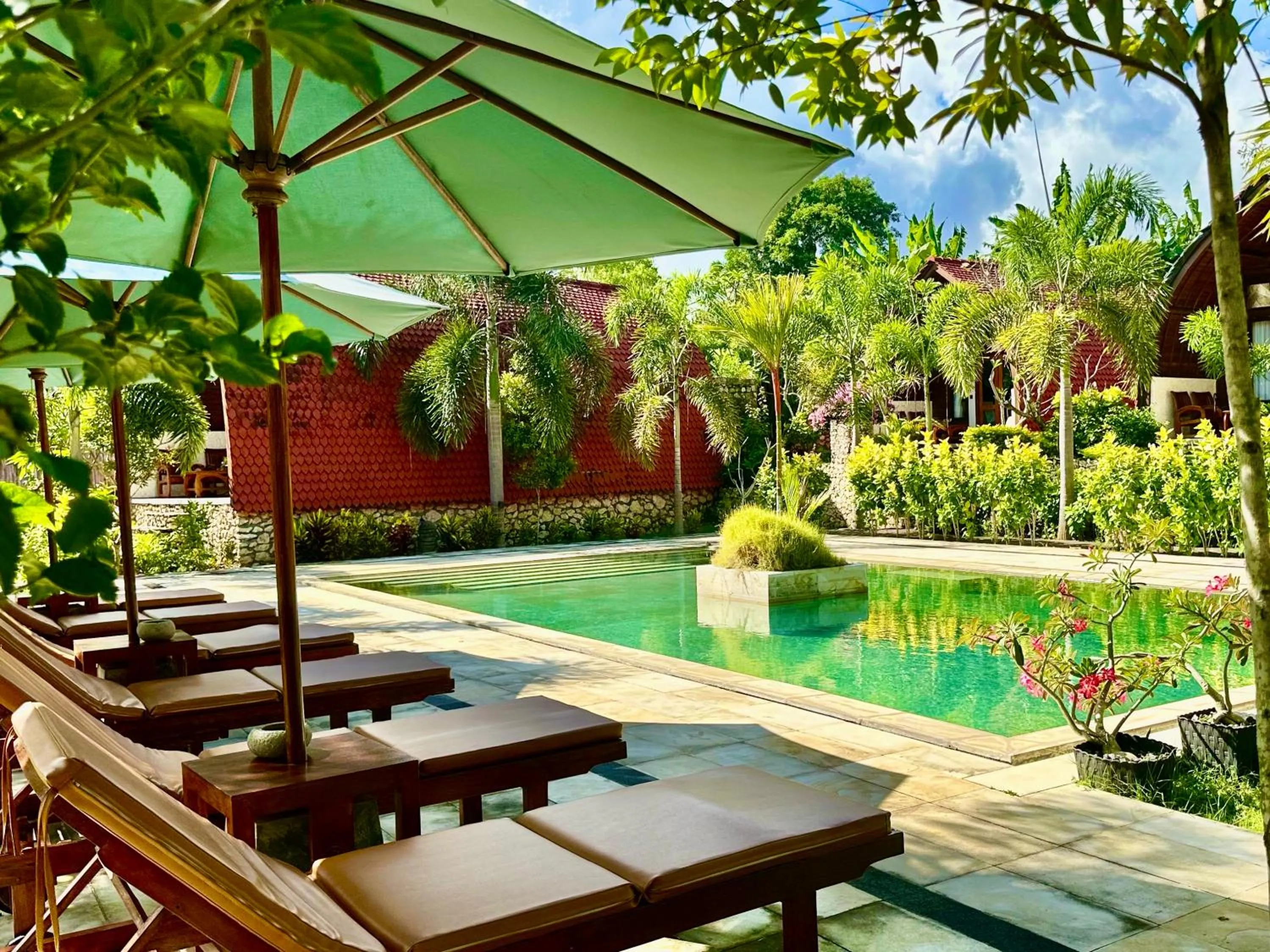 Swimming pool in Jungle Paradise