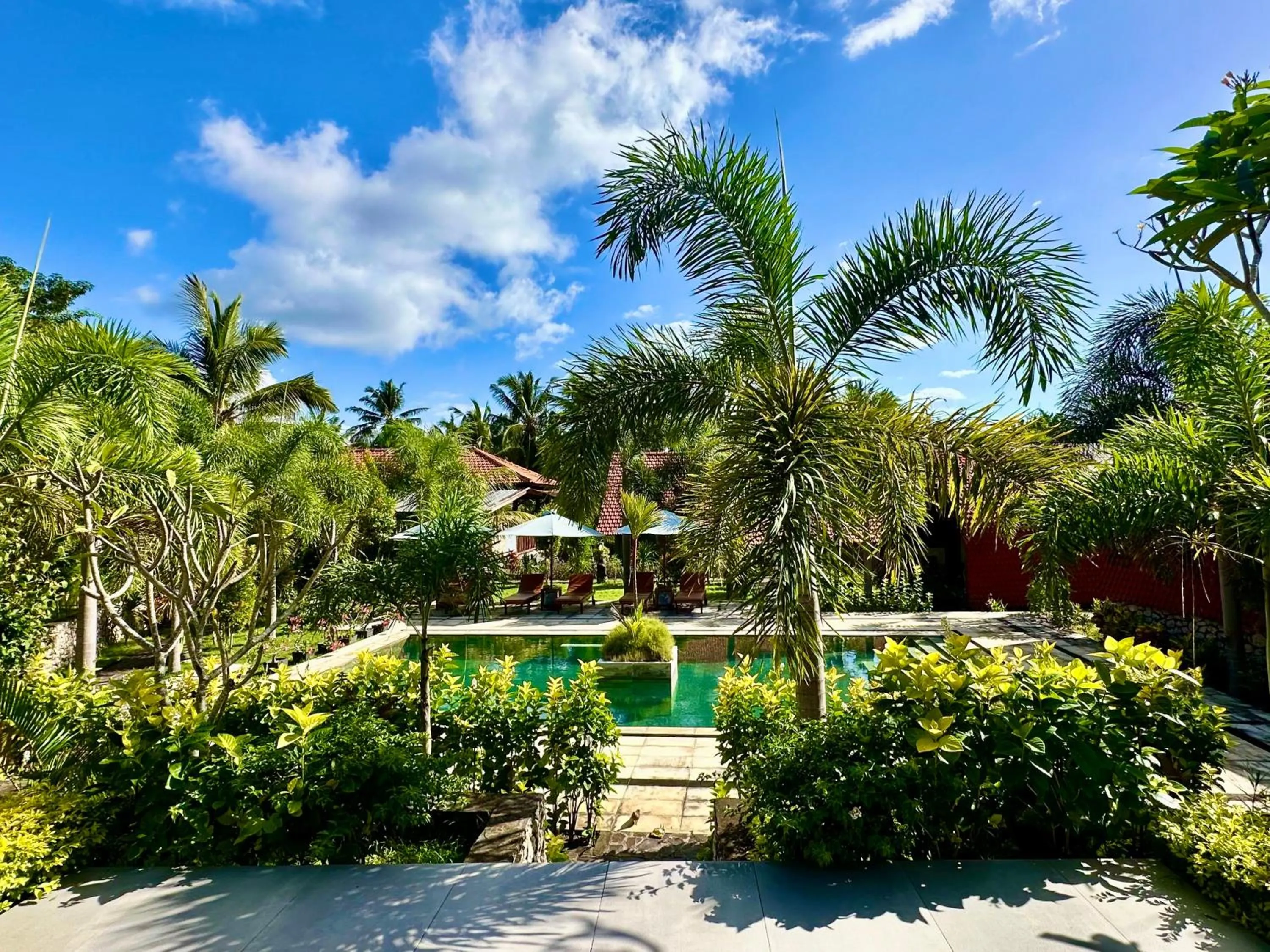 Swimming pool in Jungle Paradise
