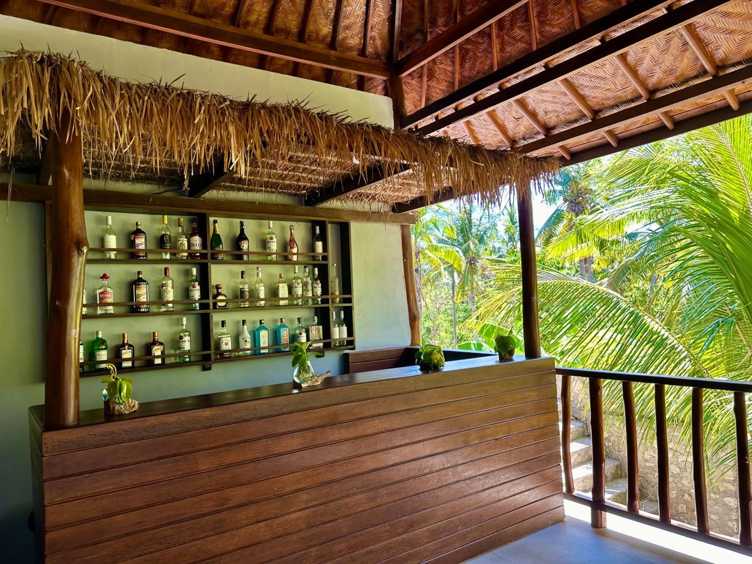 Lounge or bar in Jungle Paradise