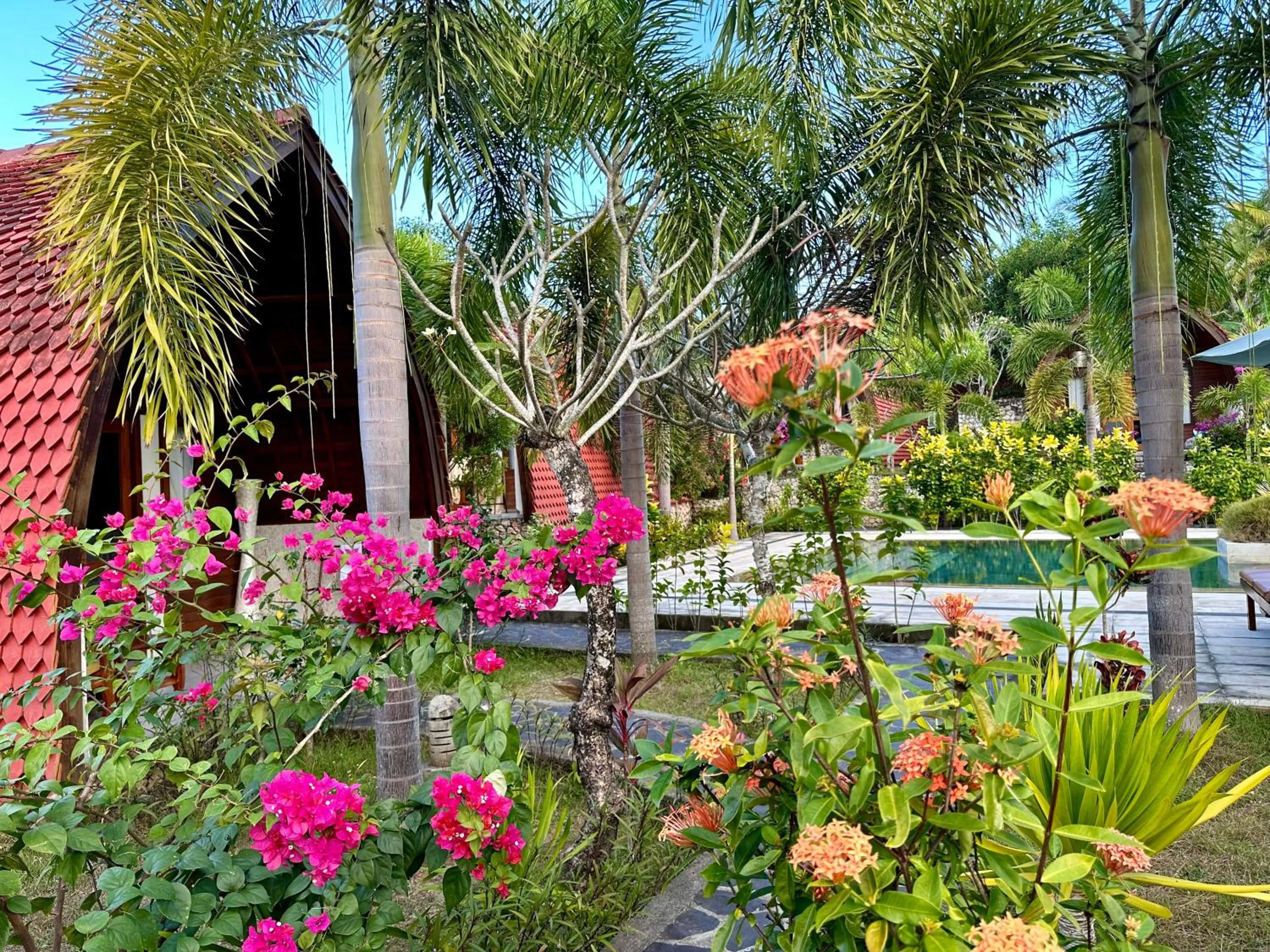 Property building in Jungle Paradise