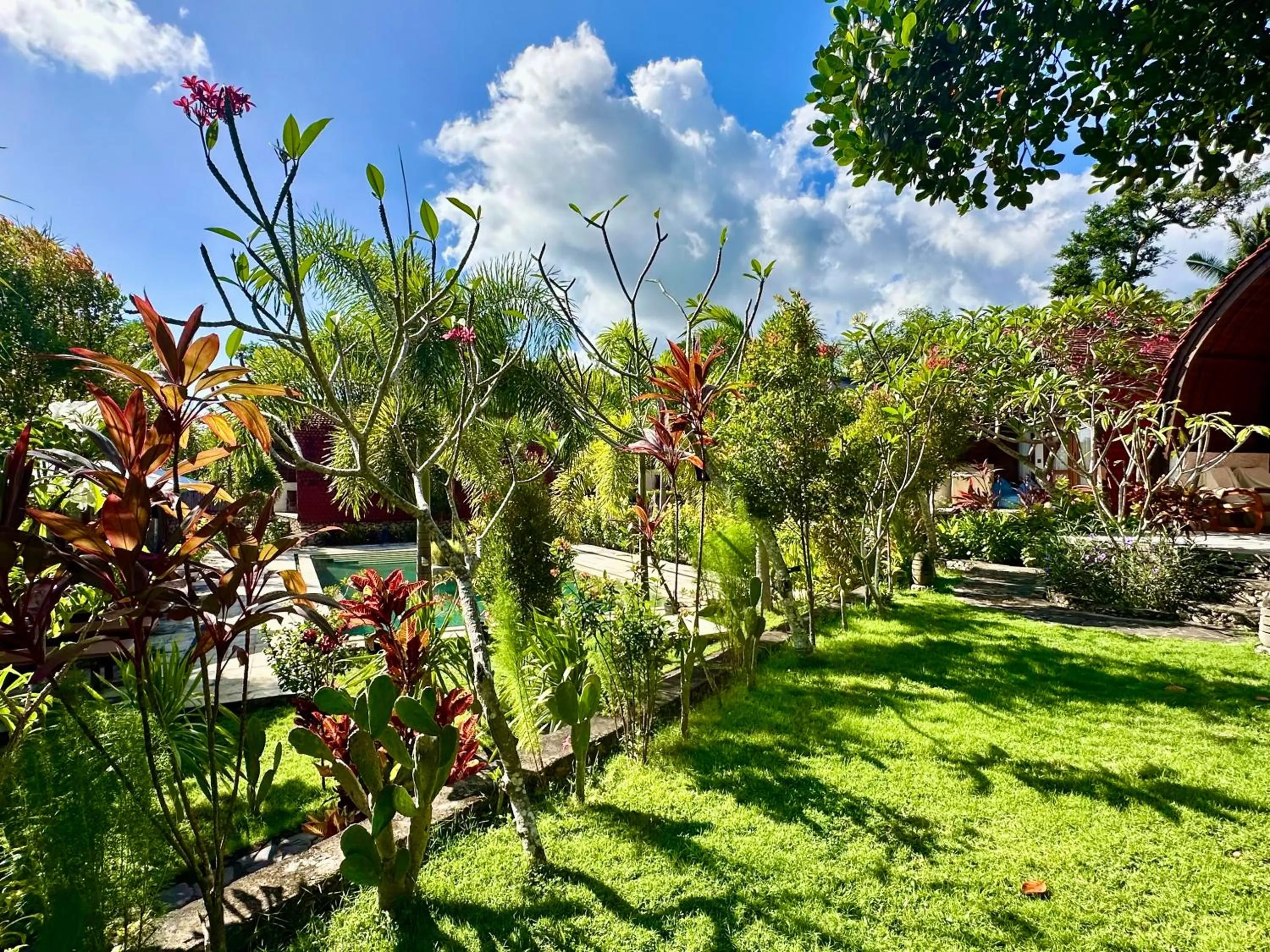 Garden in Jungle Paradise