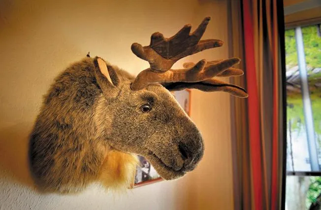 Decorative detail in EIFELkrimihotel