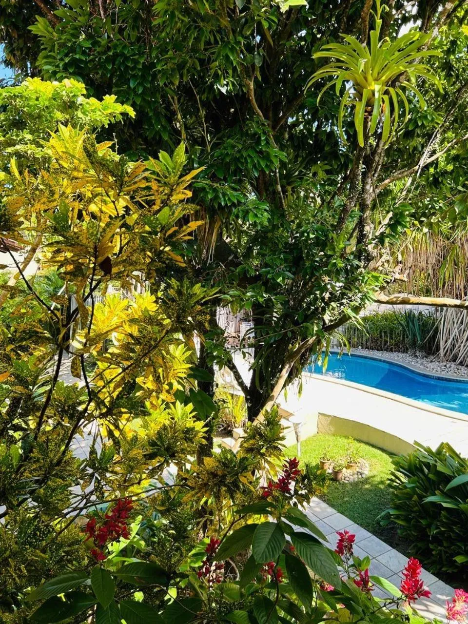 Garden view in Pousada Coisa e Tao