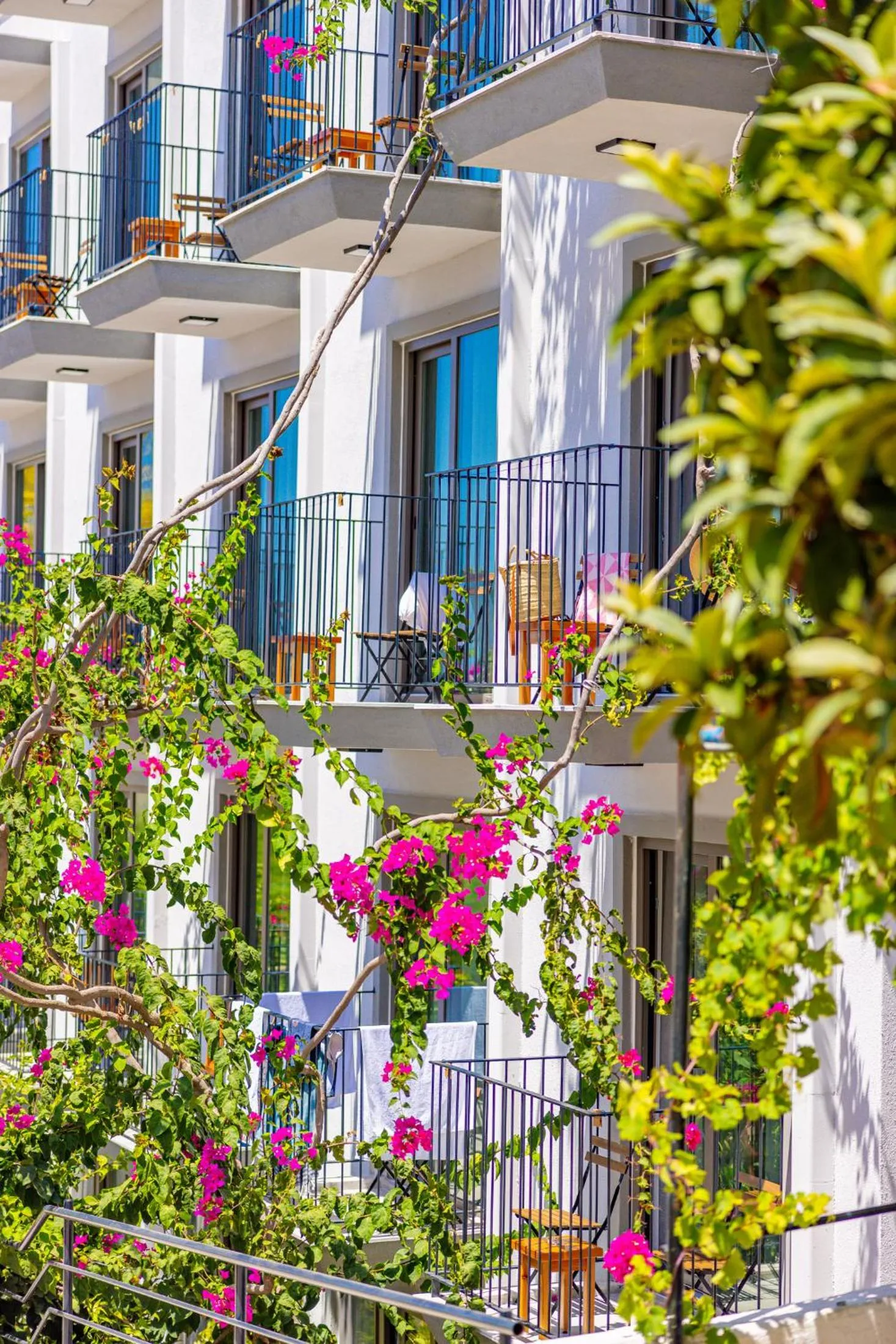 Balcony/Terrace in Aphrodite Hotel Kaş