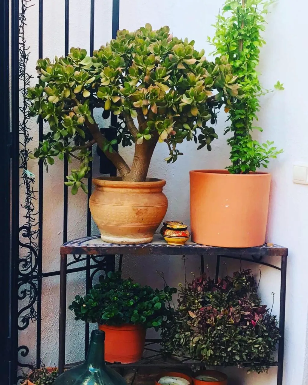 Garden view in Casa Aire de Lecrin