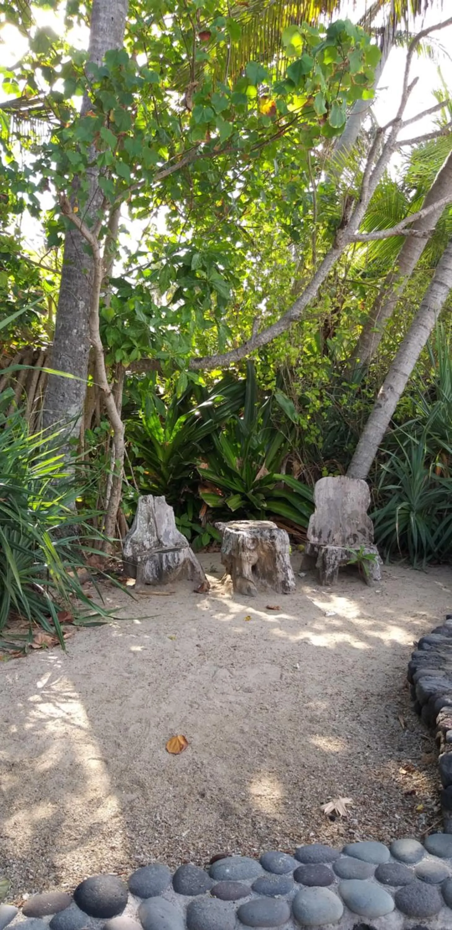 Garden in IDA'S Homestay