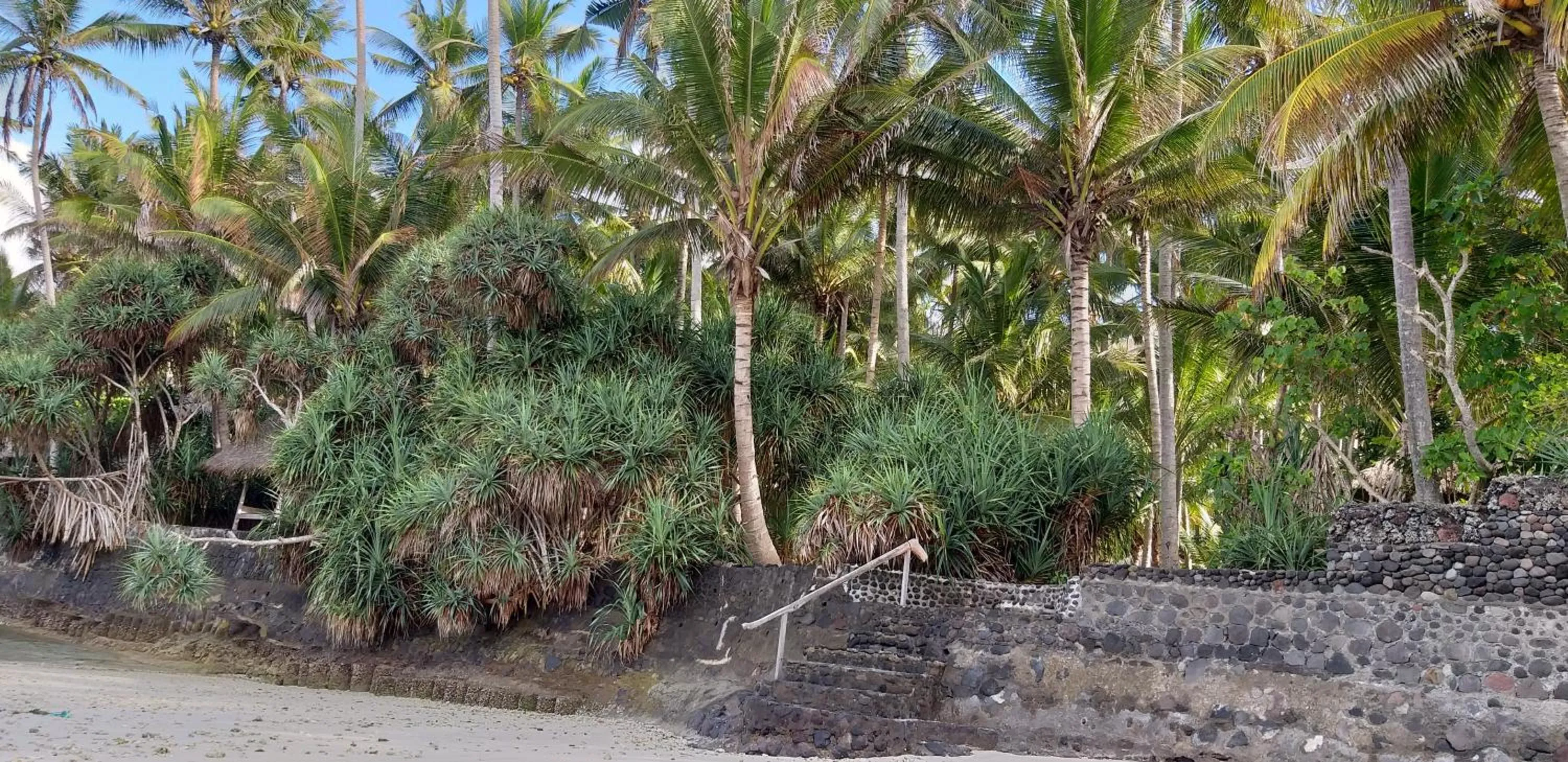 Beach in IDA'S Homestay