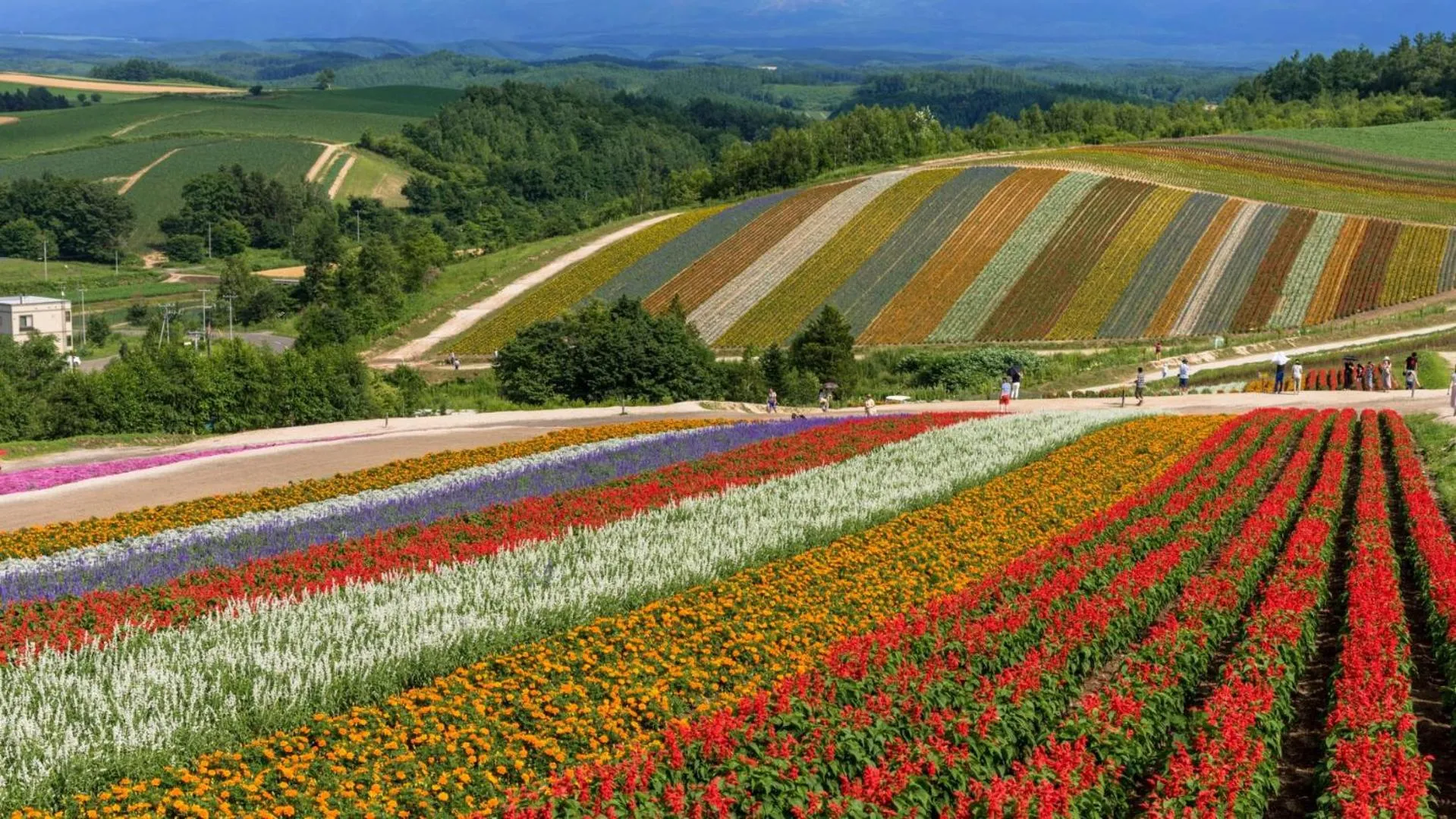 Nearby landmark in The Peak Villa Suite Hokkaido