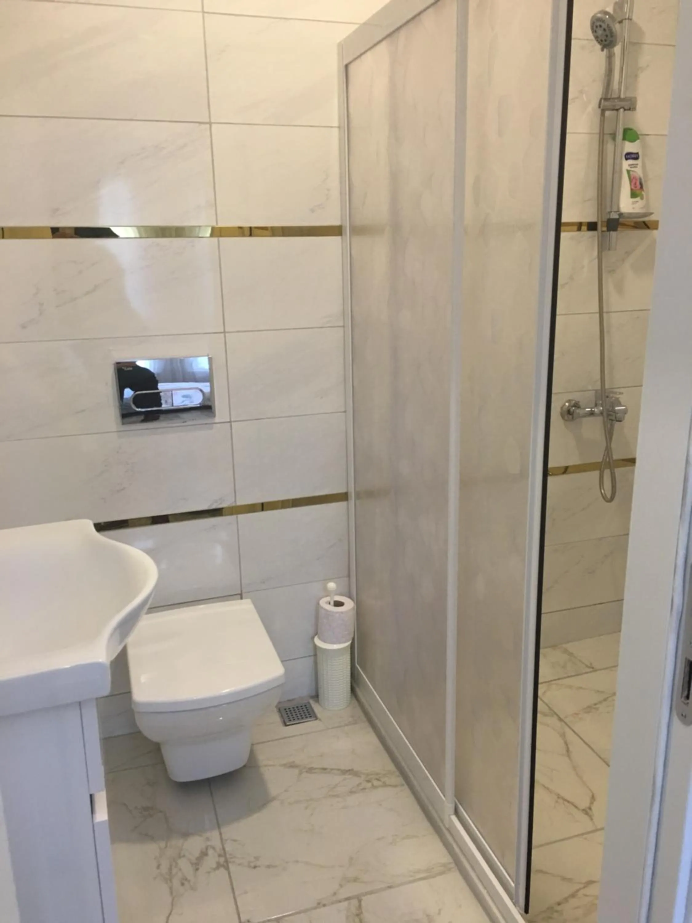 Shower in PASHA APART~BOUTİQUE HOTEL/YALOVA