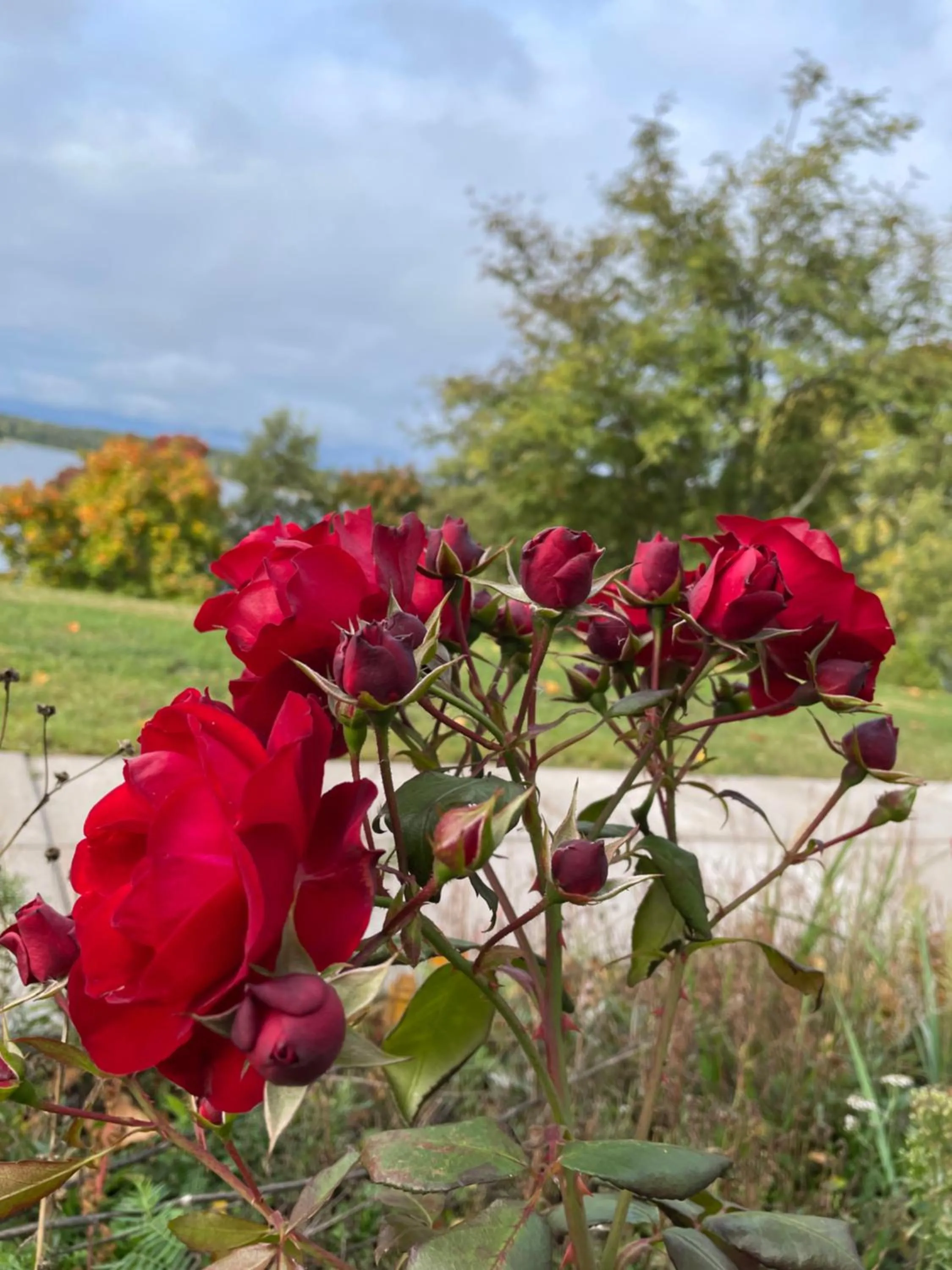 Labbnäs Semesterhem, Radhuset